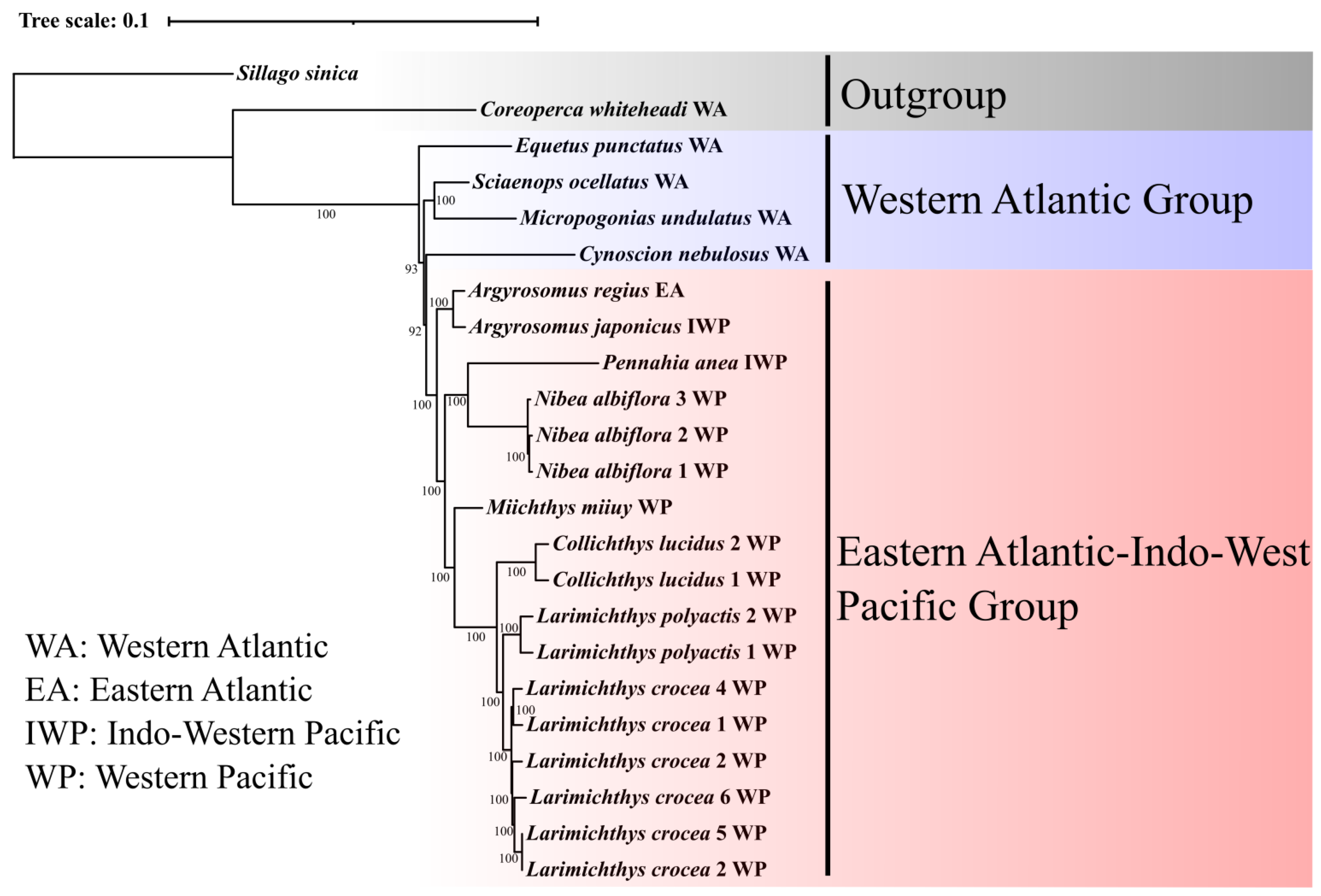 Animals 12 03386 g002
