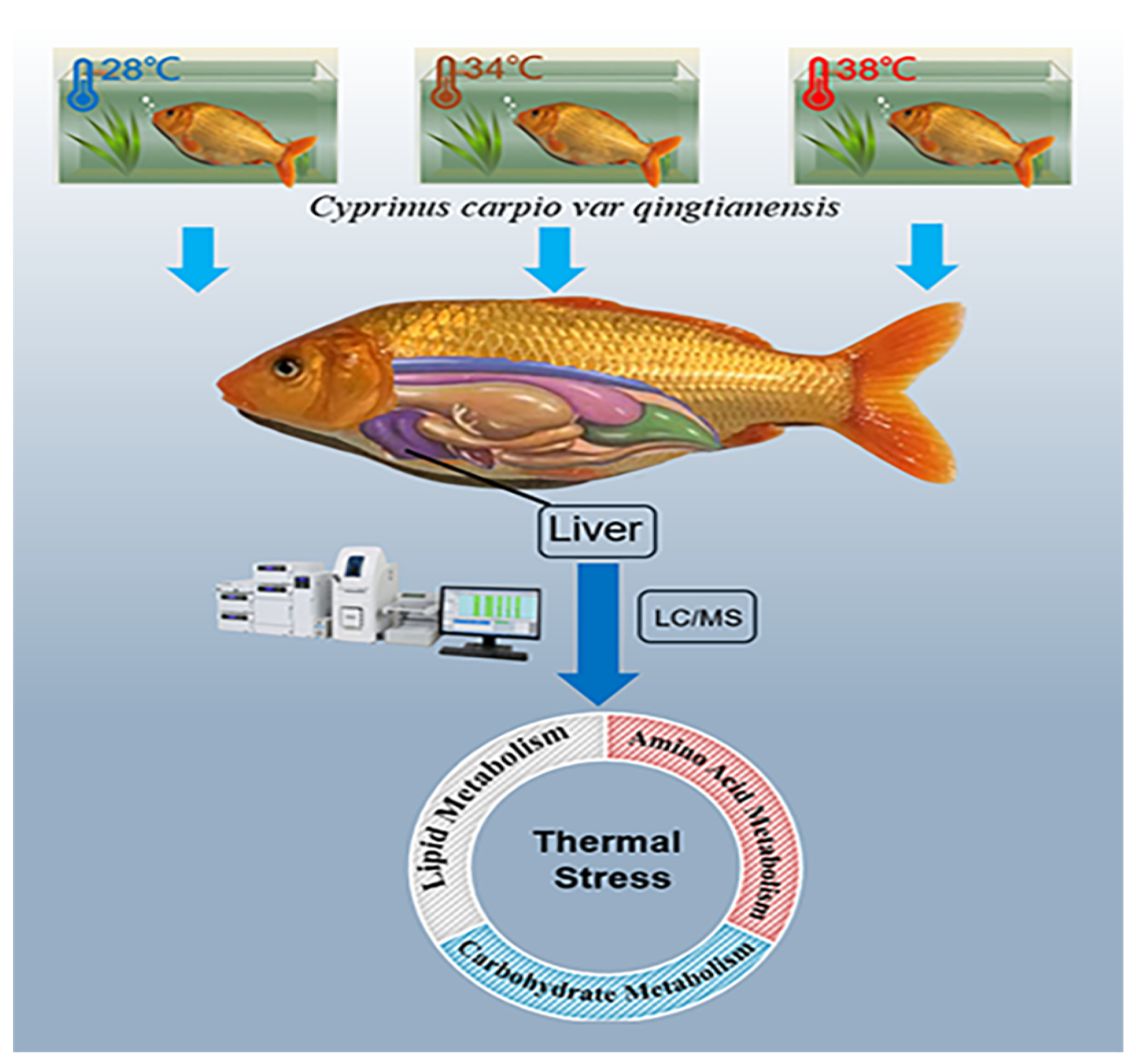 Animals 12 03395 g001