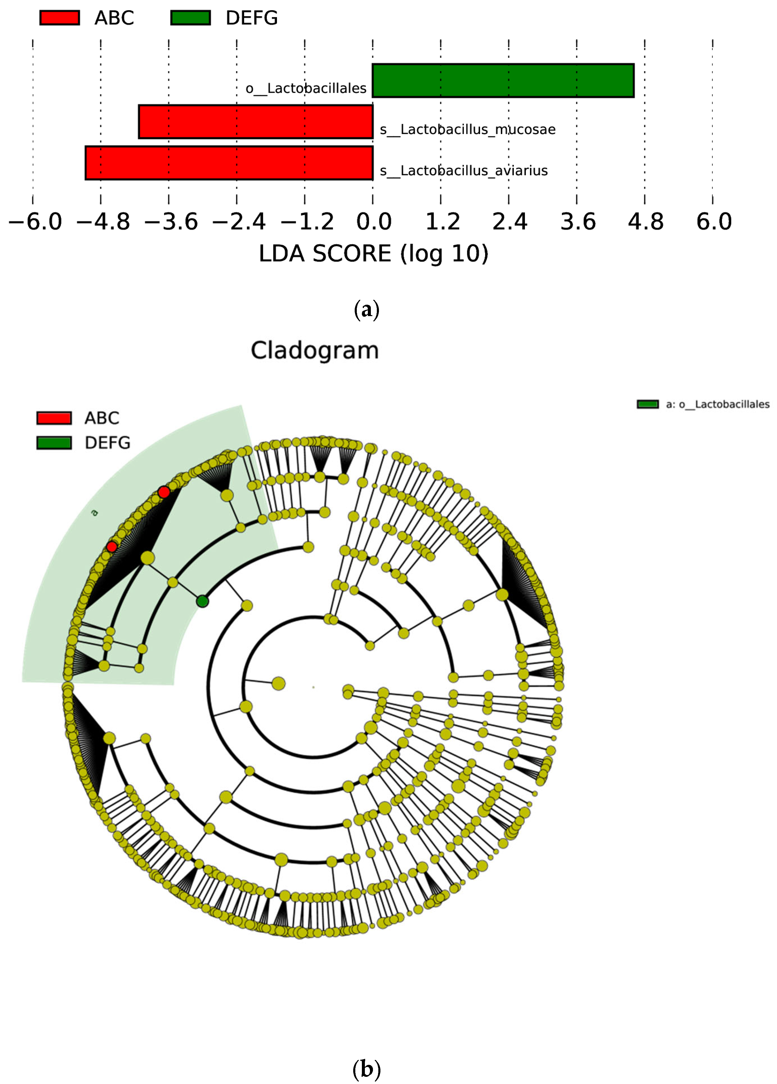 Animals 12 03404 g012 Animals 12 03404 g012
