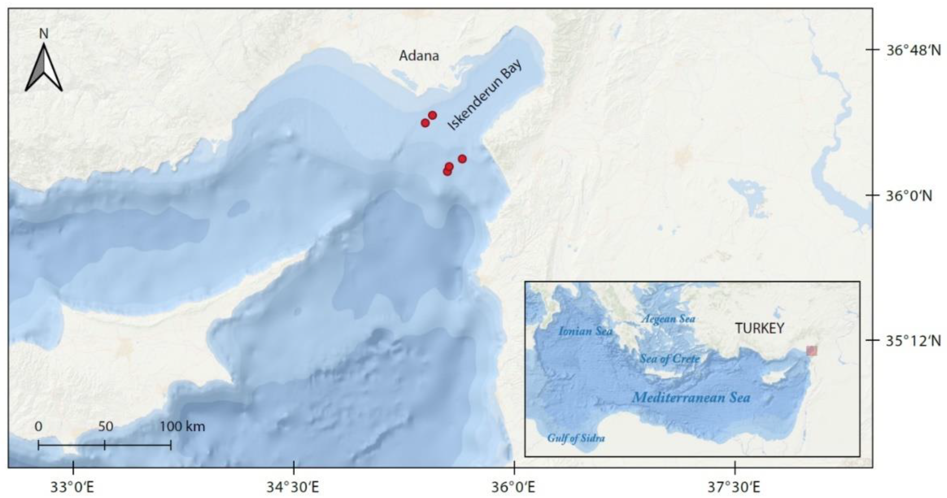 Animals 12 03443 g001