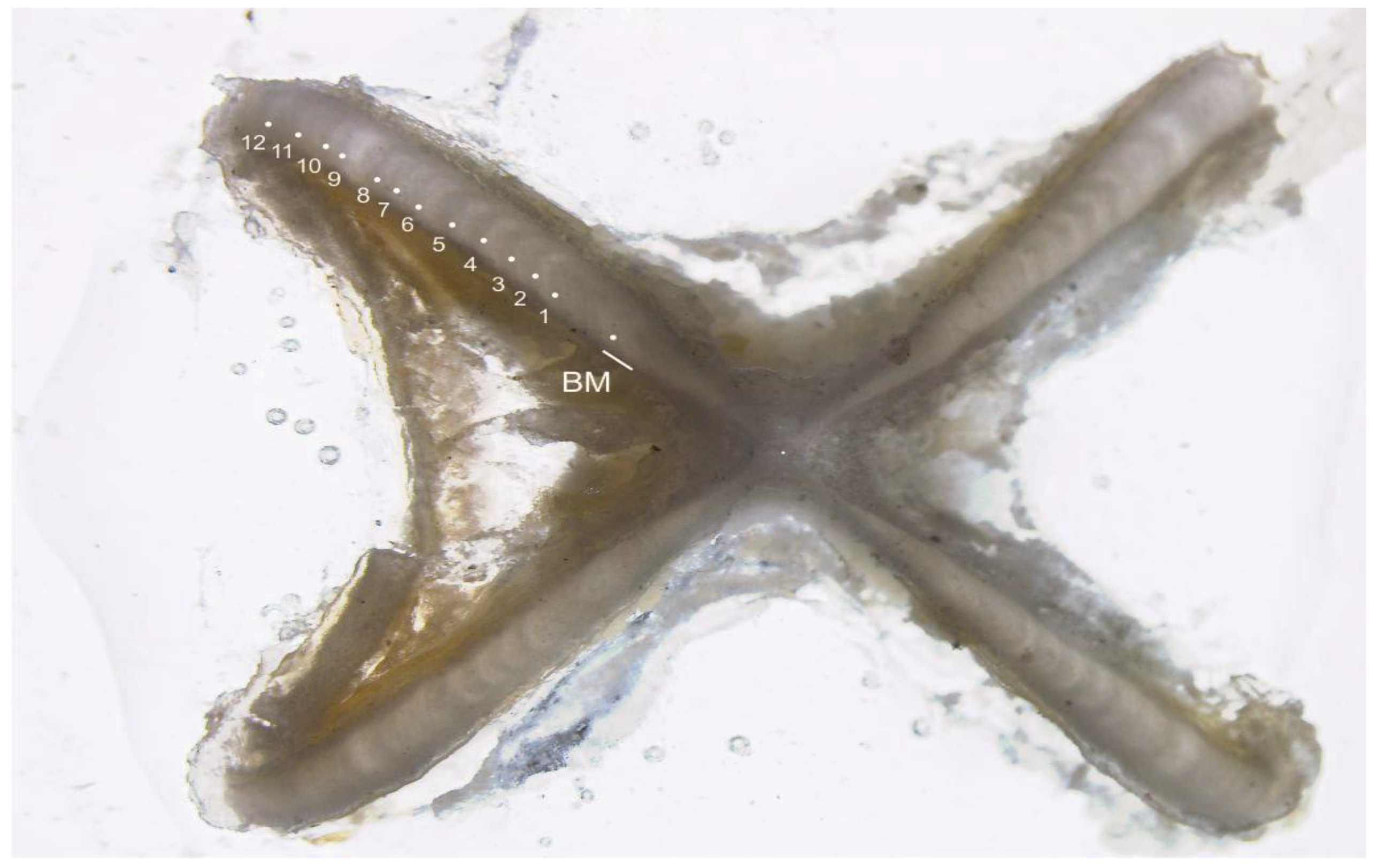 Animals 12 03443 g002