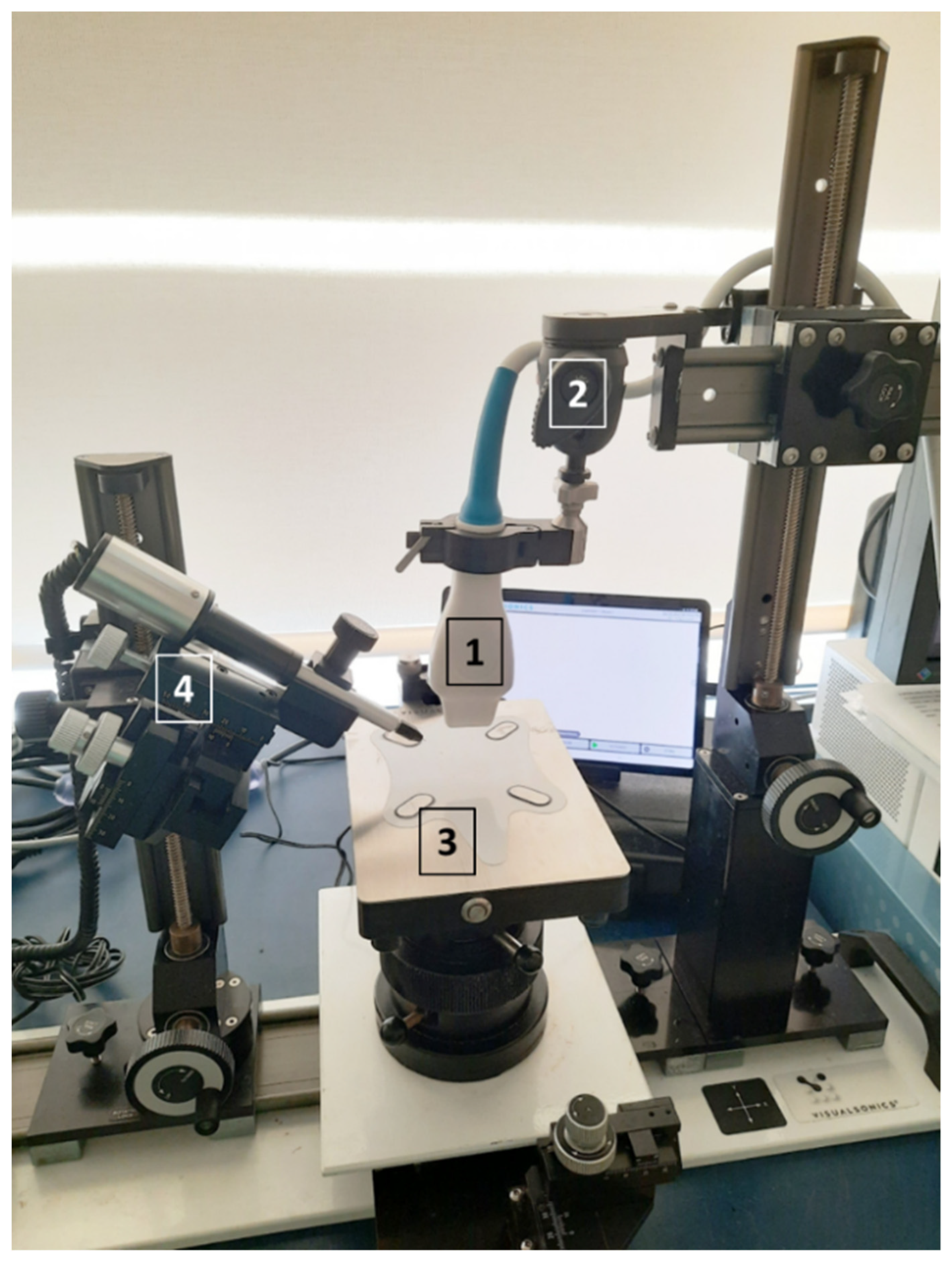 Animals 12 03445 g001