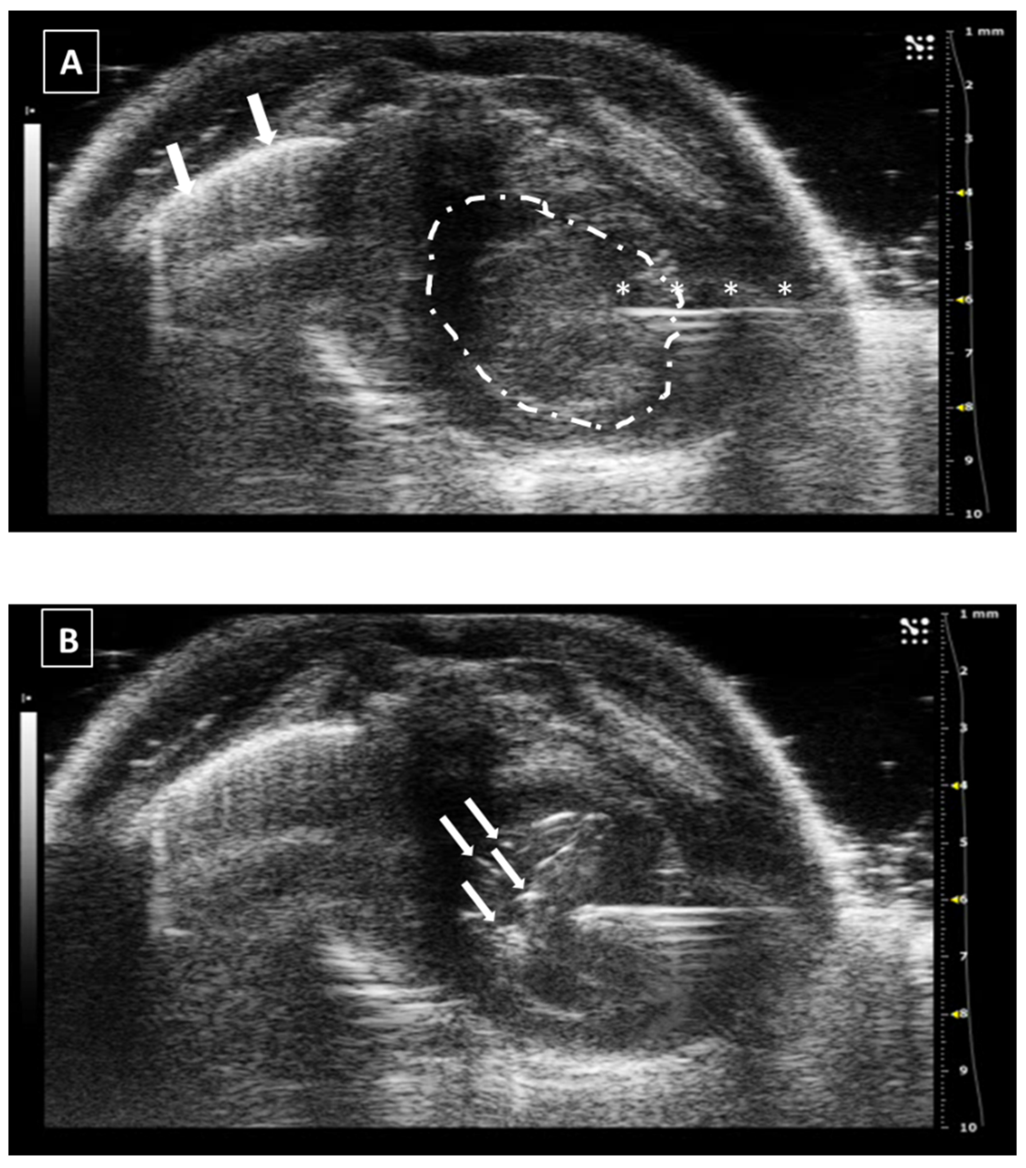 Animals 12 03445 g003