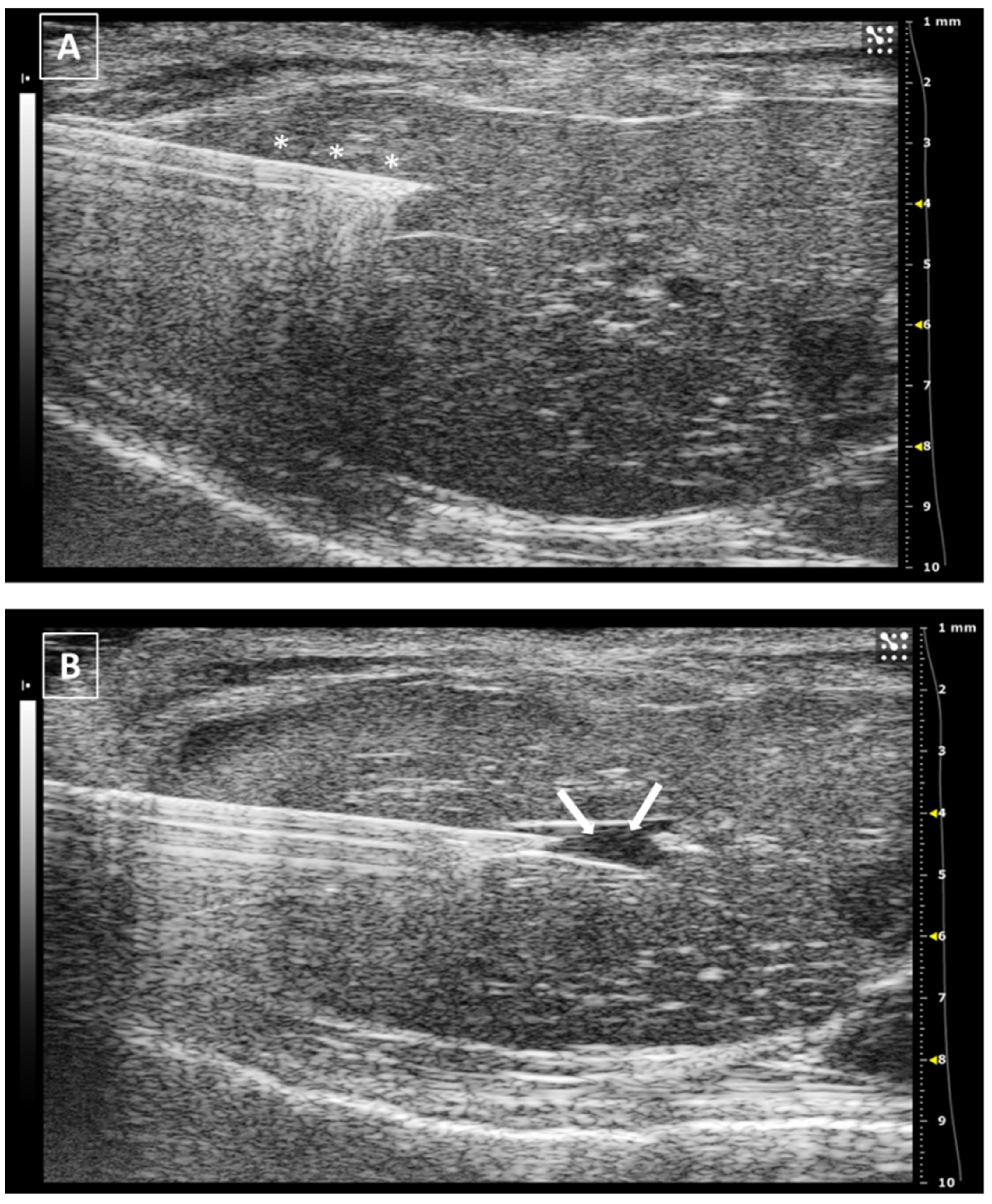 Animals 12 03445 g004