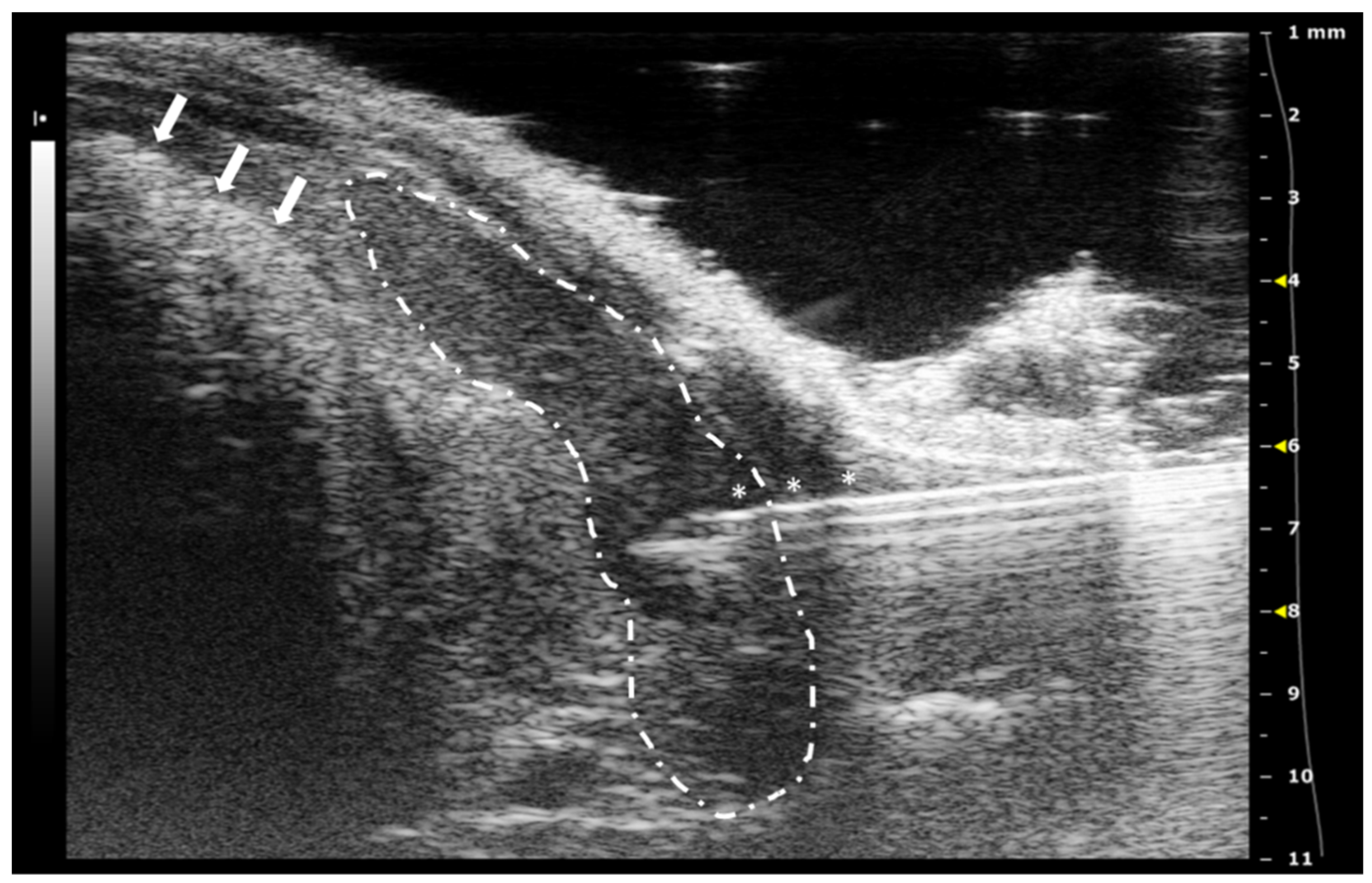 Animals 12 03445 g005