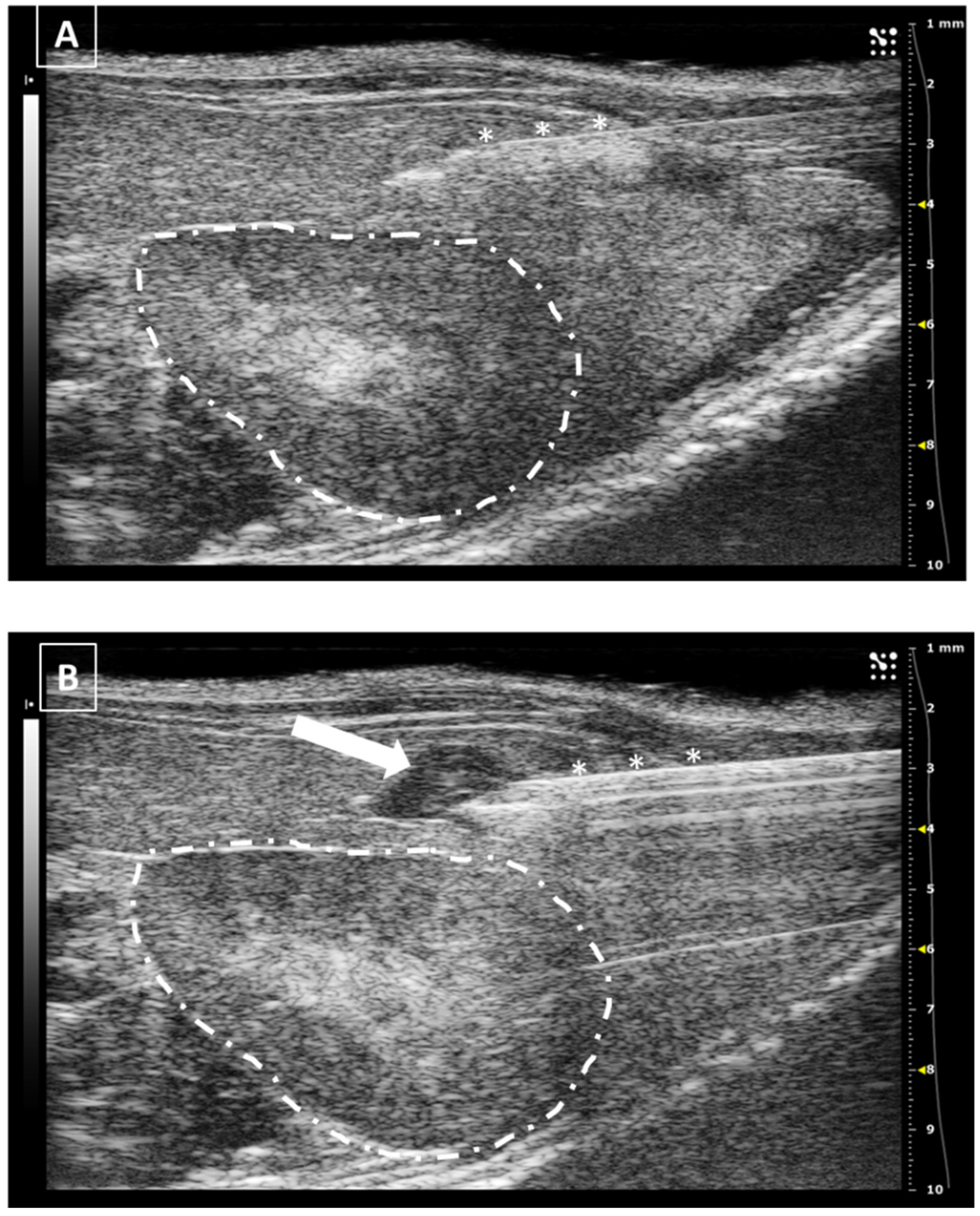 Animals 12 03445 g006