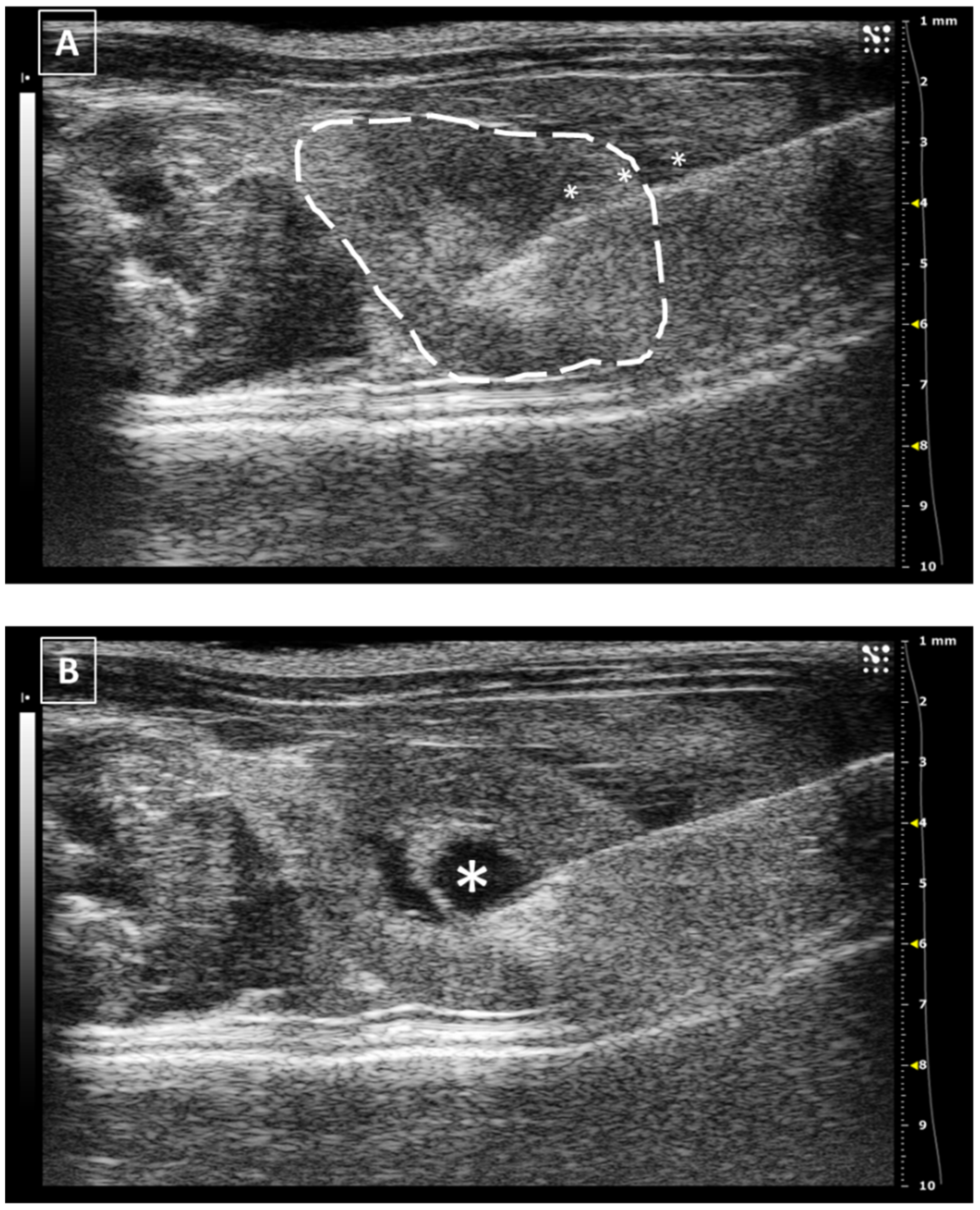 Animals 12 03445 g007