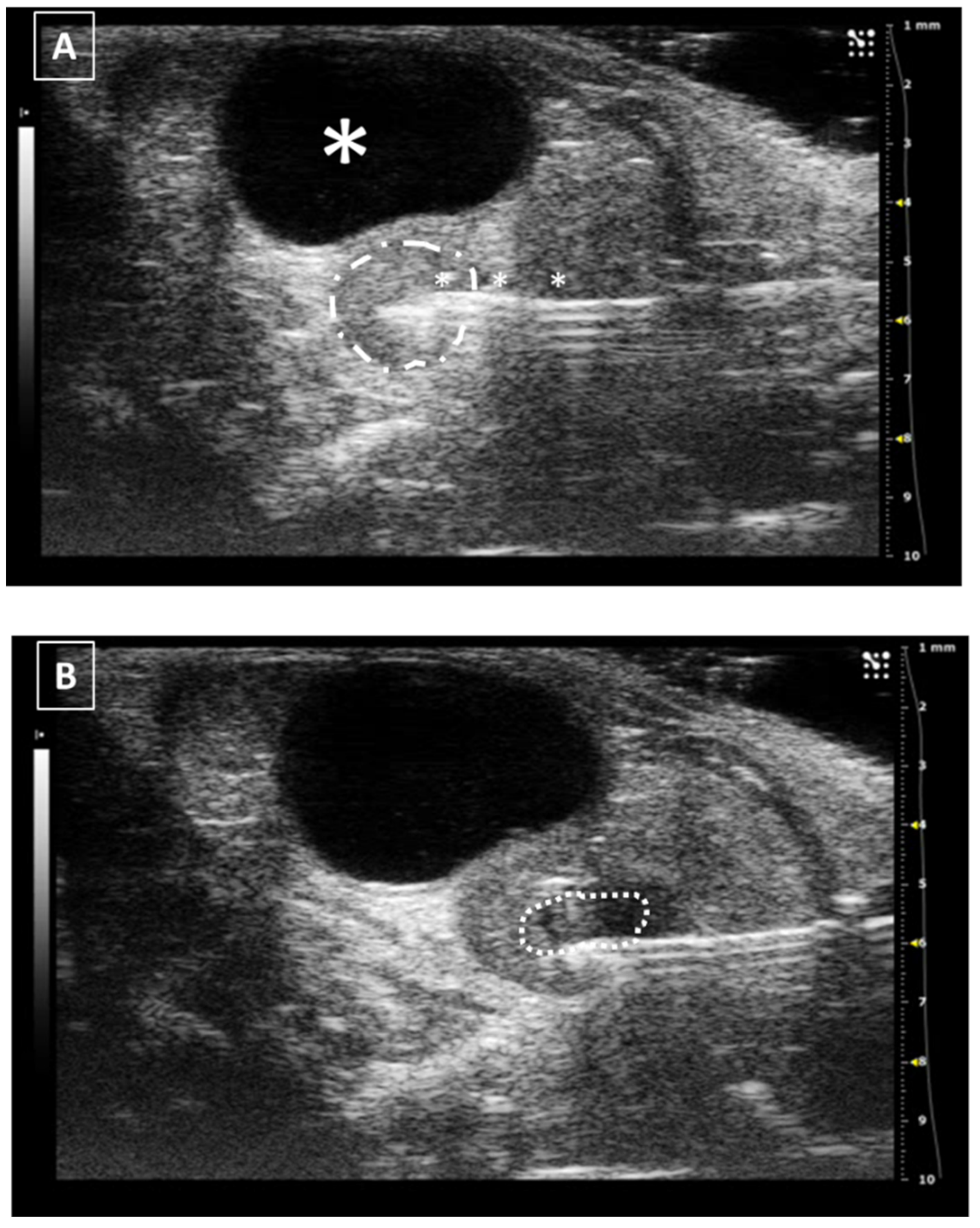 Animals 12 03445 g008