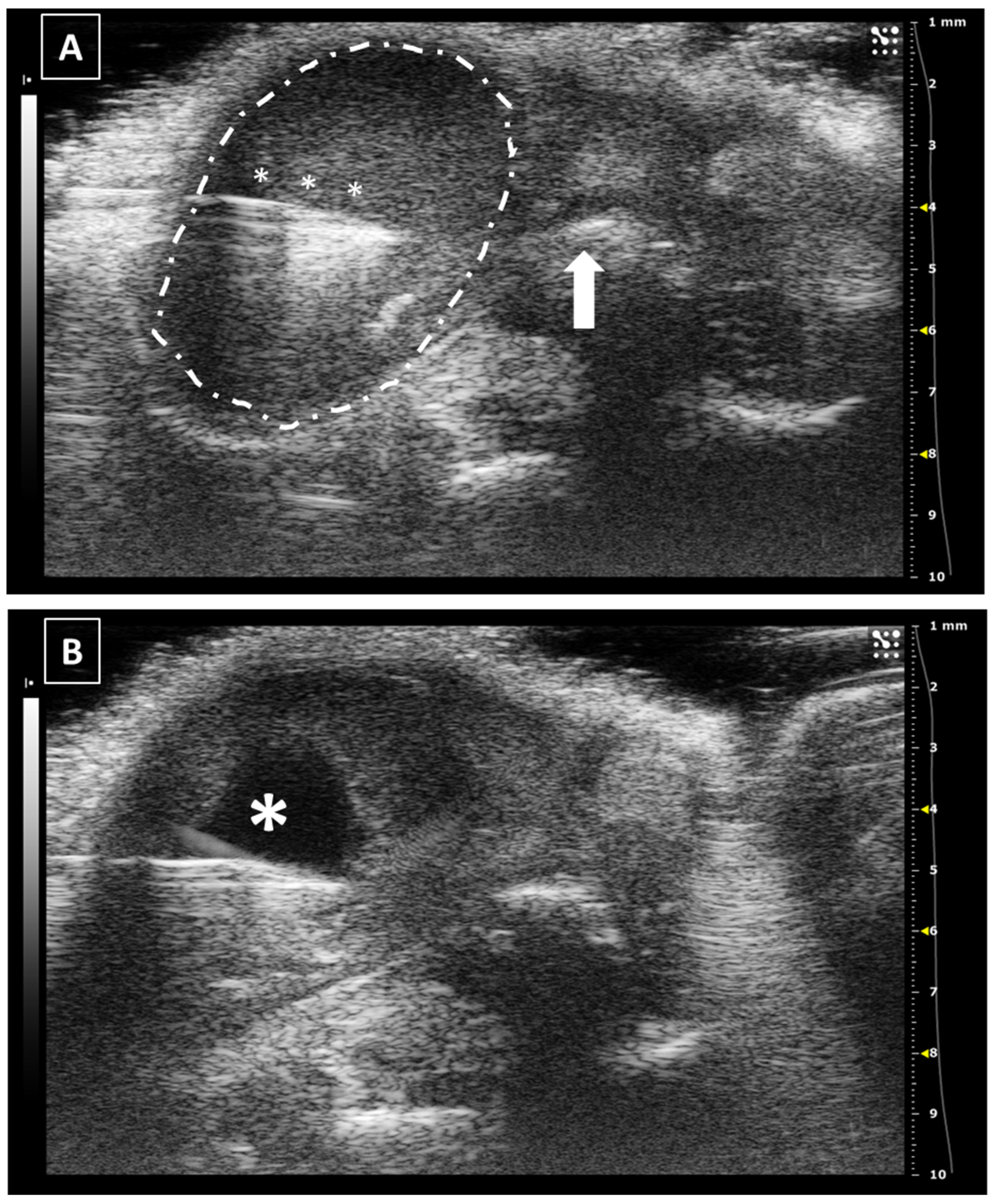 Animals 12 03445 g009