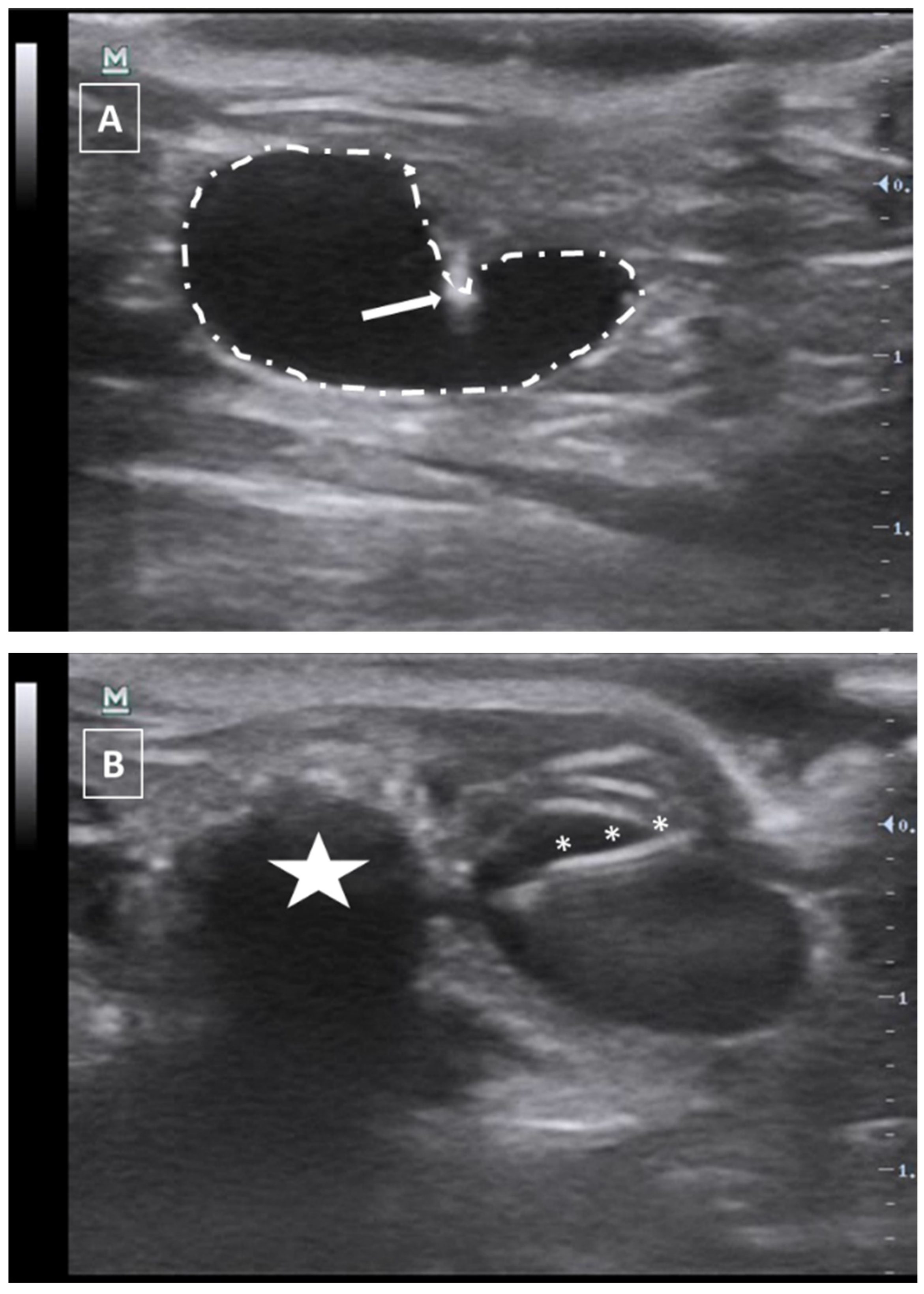 Animals 12 03445 g010