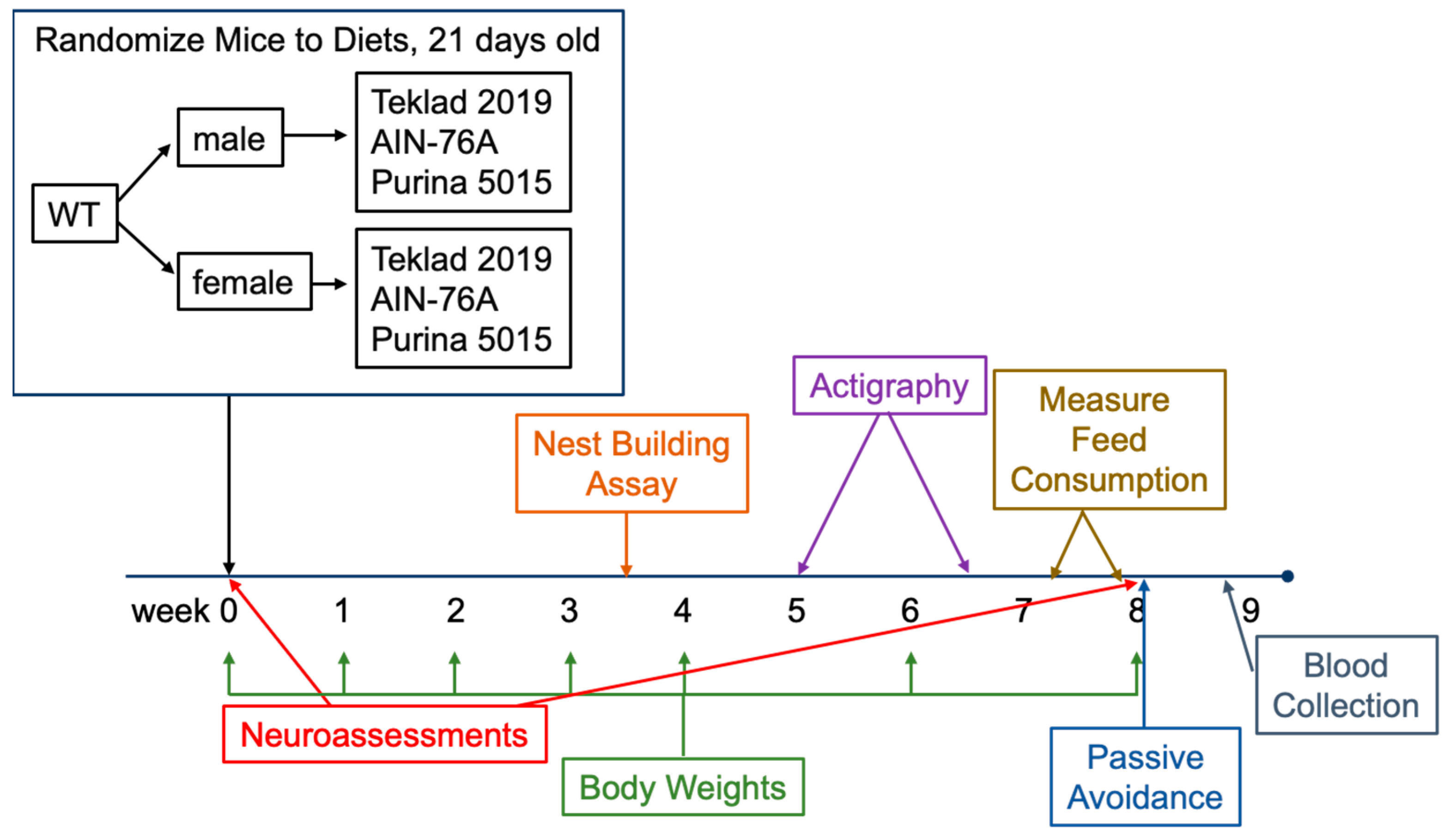 Animals 12 03448 g001