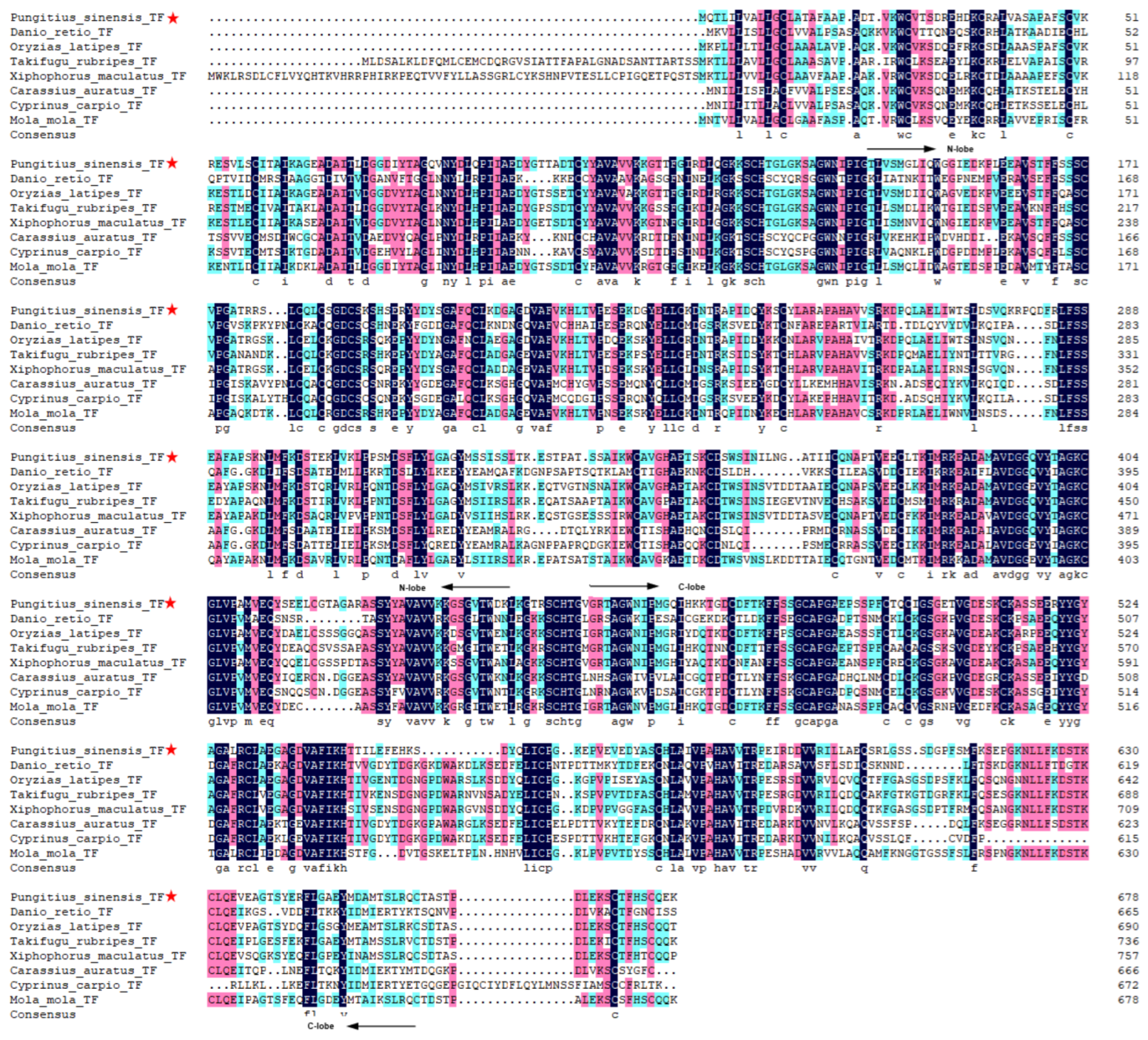 Animals 12 03458 g001