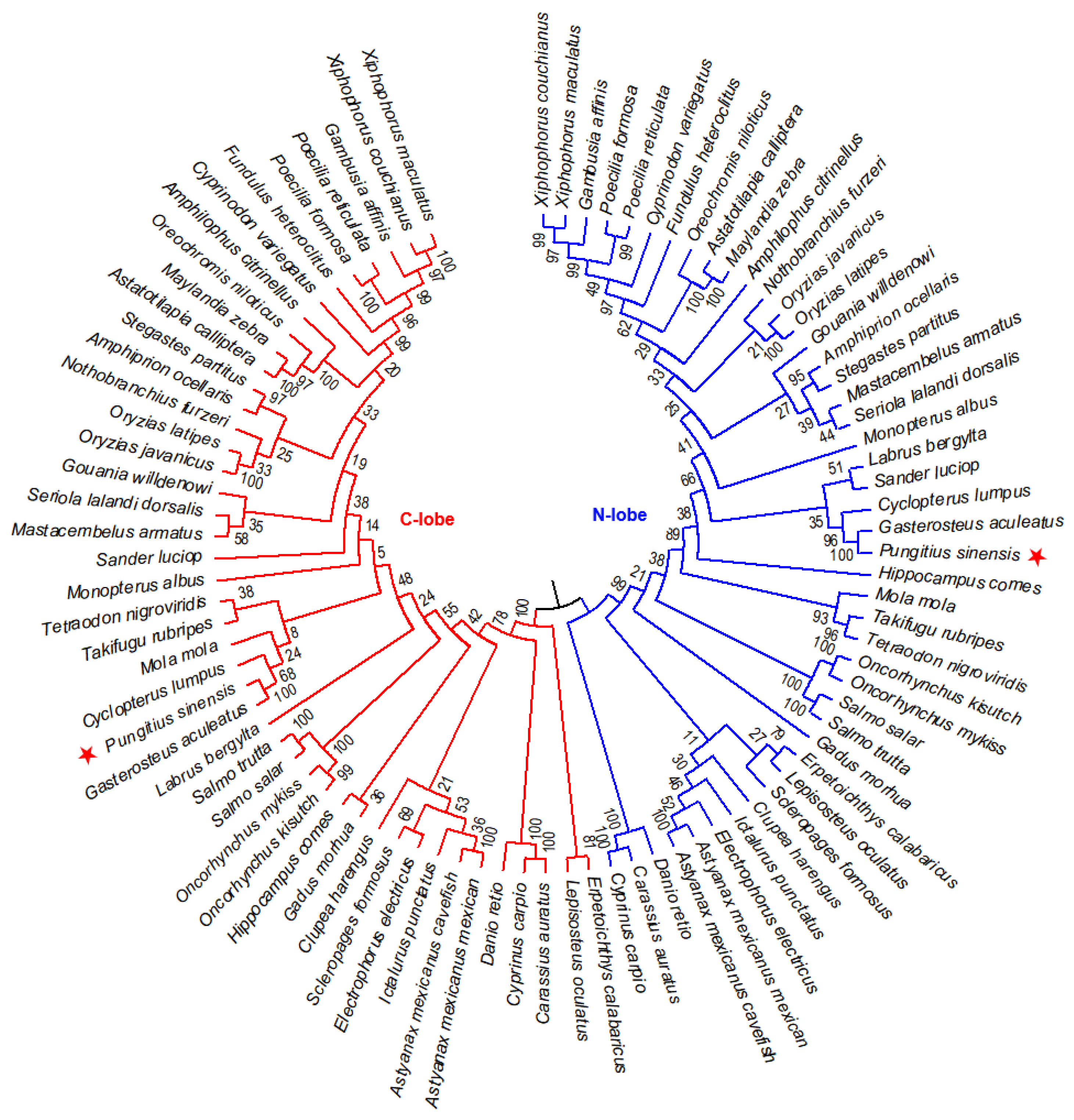 Animals 12 03458 g003