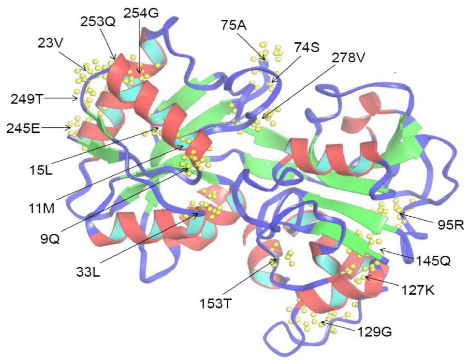 Animals 12 03458 g005