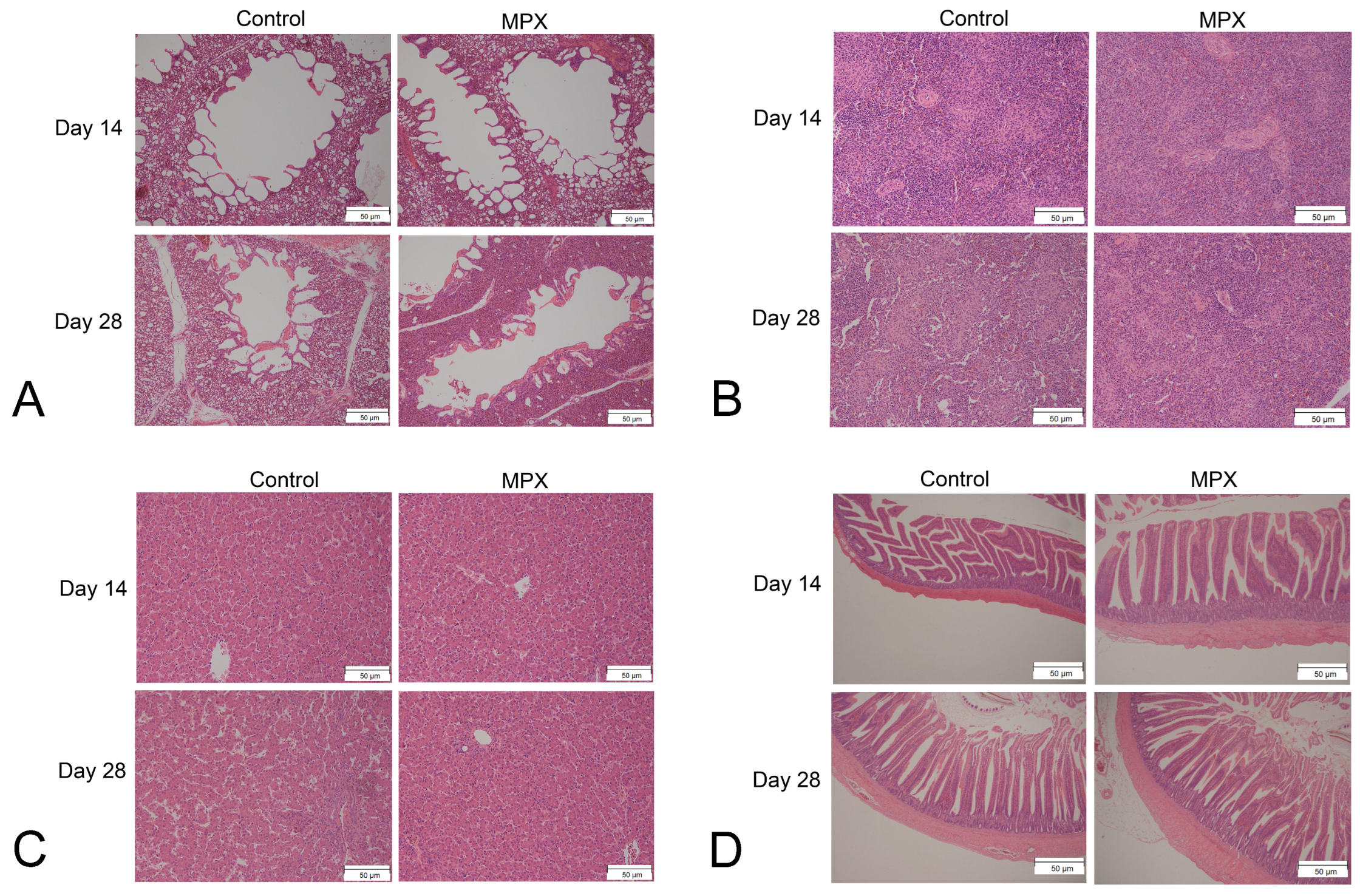 Animals 12 03462 g002