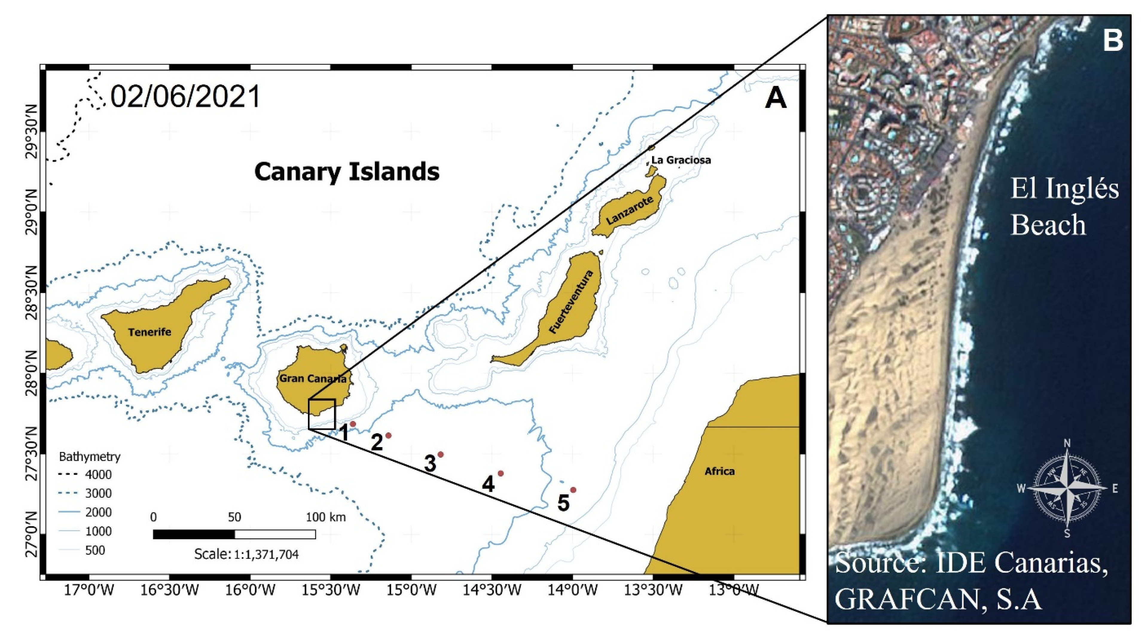 Animals 12 03465 g001
