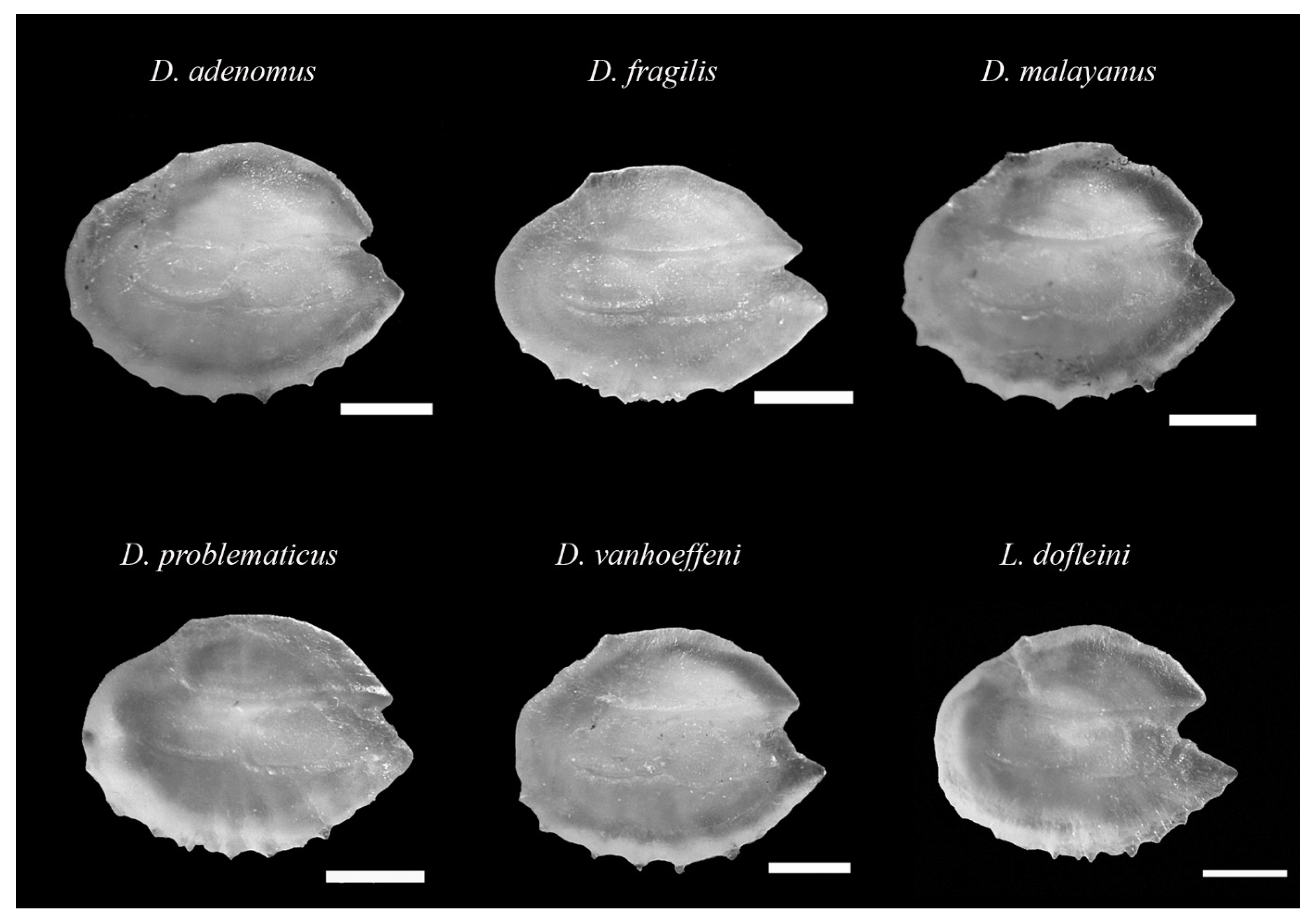 Animals 12 03465 g003