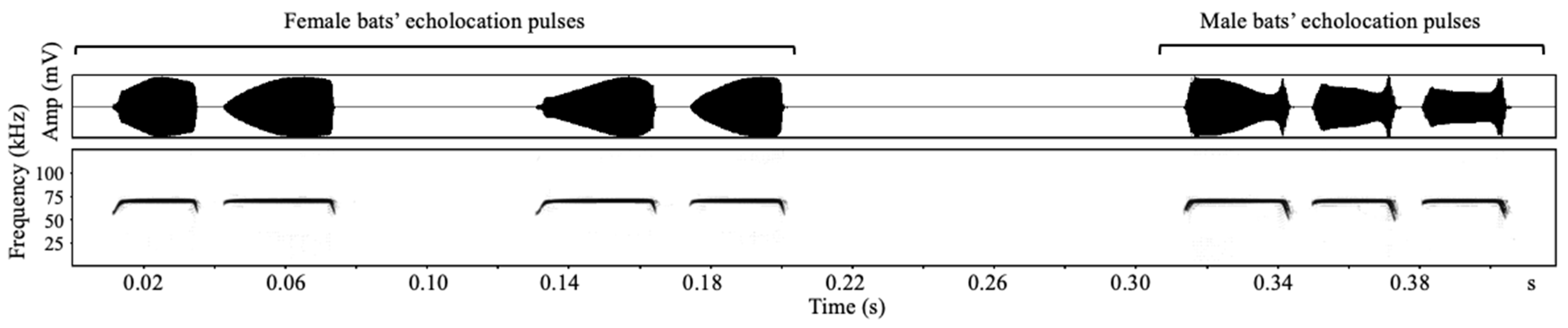 Animals 12 03490 g001