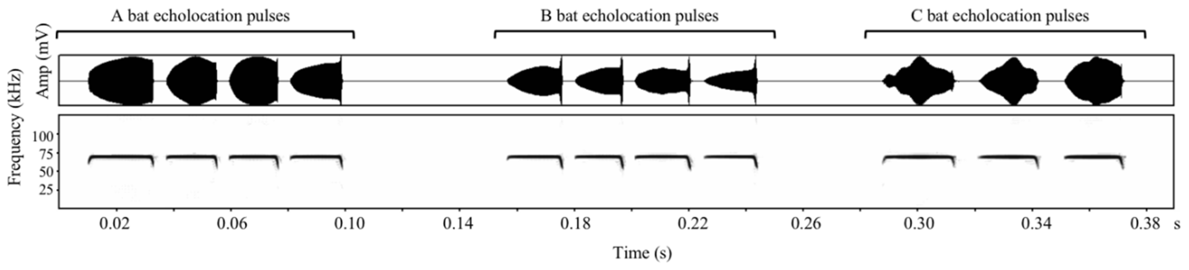 Animals 12 03490 g002