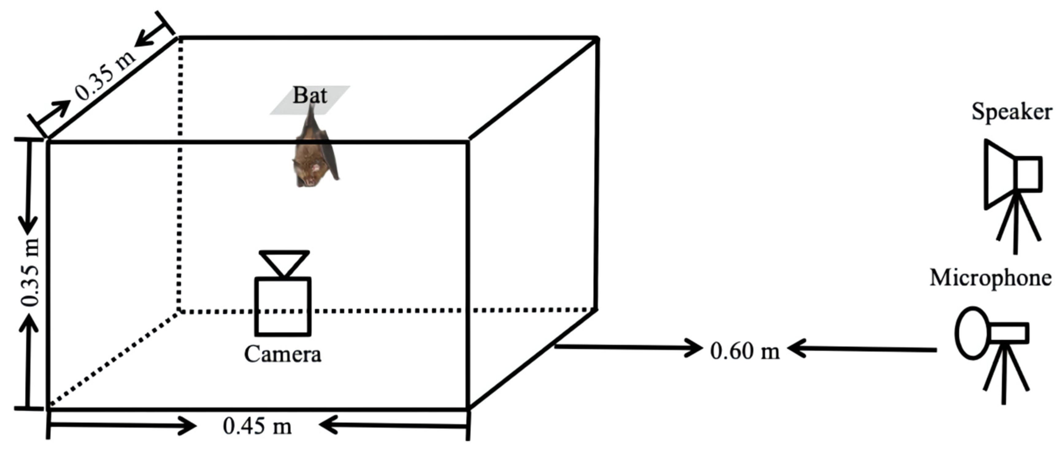 Animals 12 03490 g004