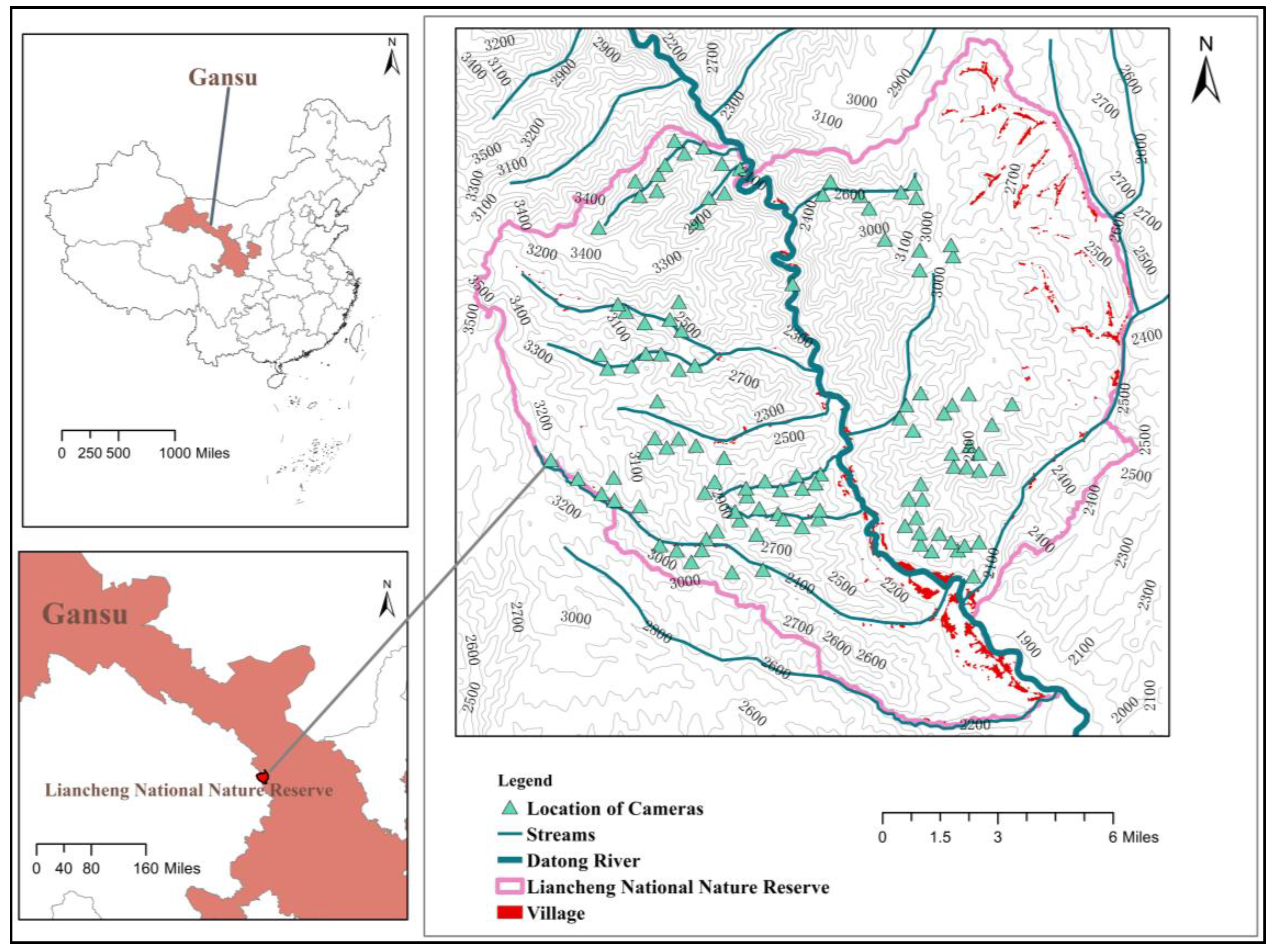 Animals 12 03518 g001