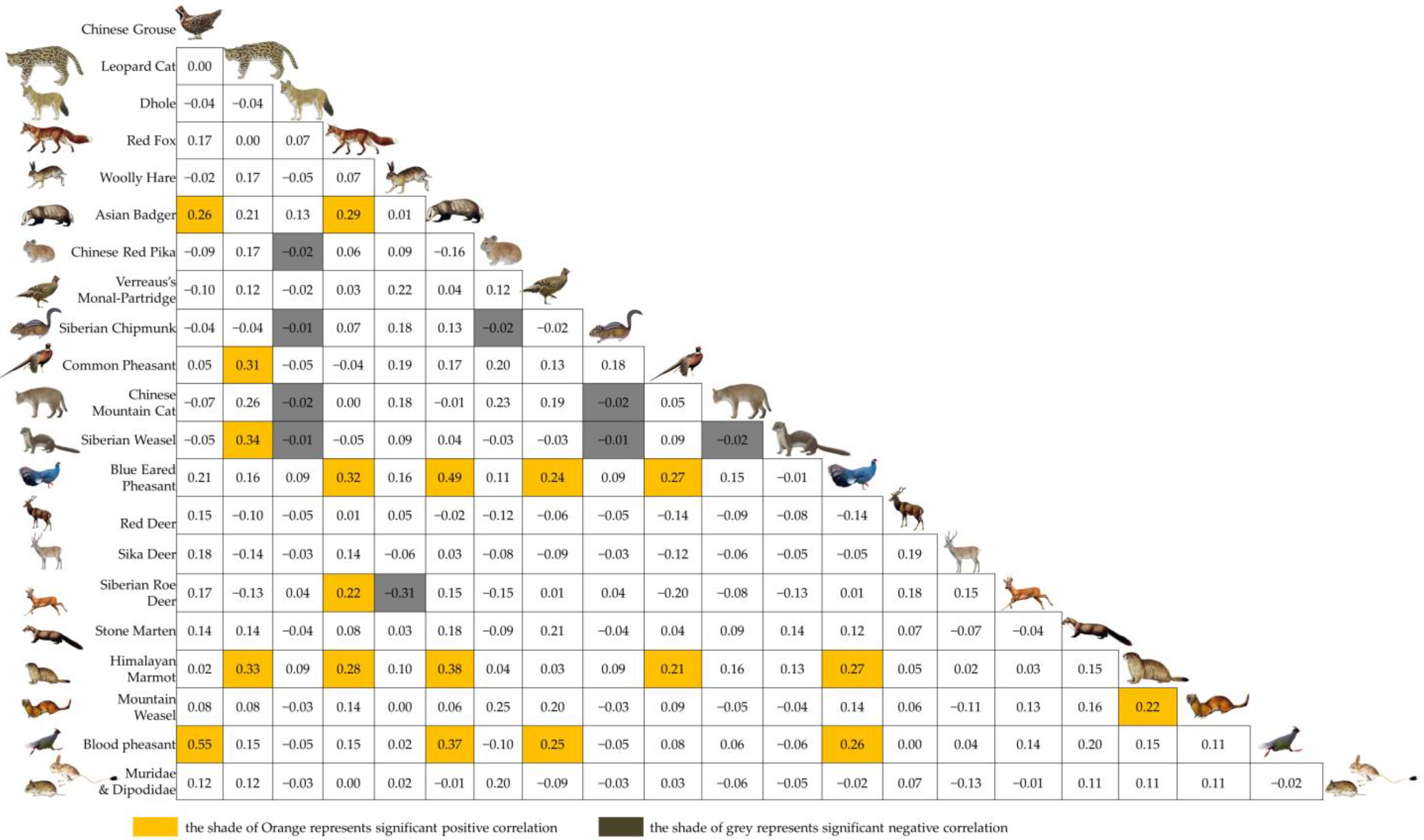 Animals 12 03518 g003