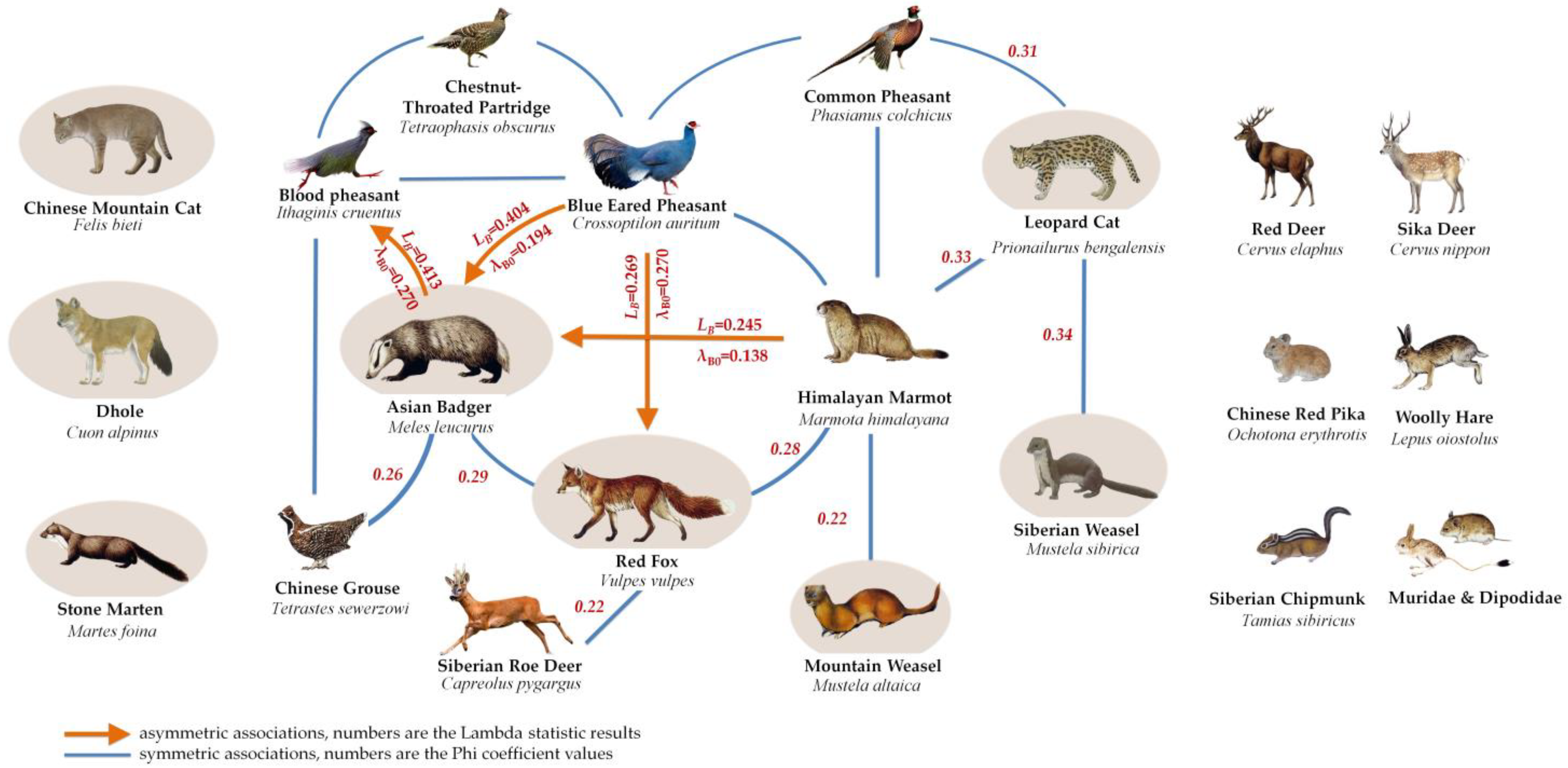 Animals 12 03518 g004