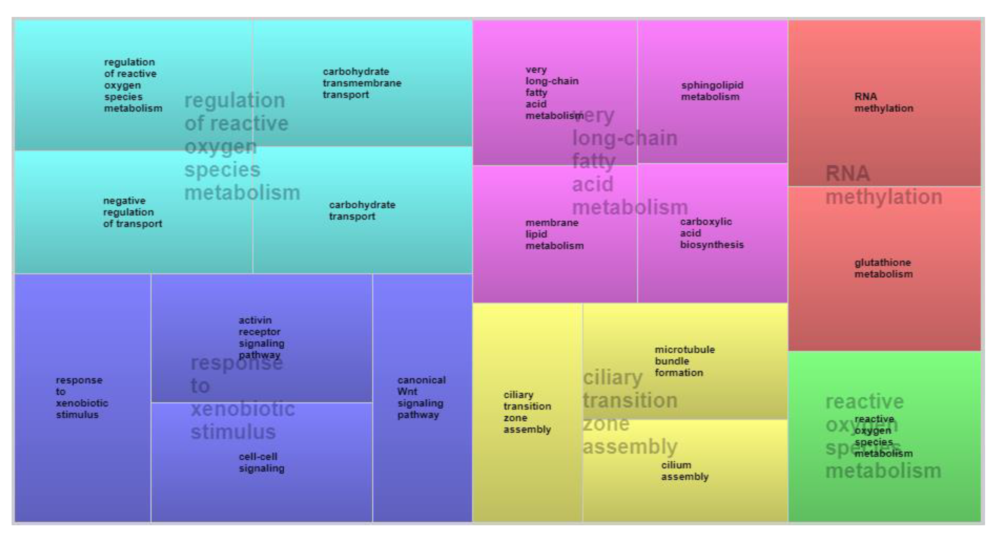 Animals 12 03526 g003