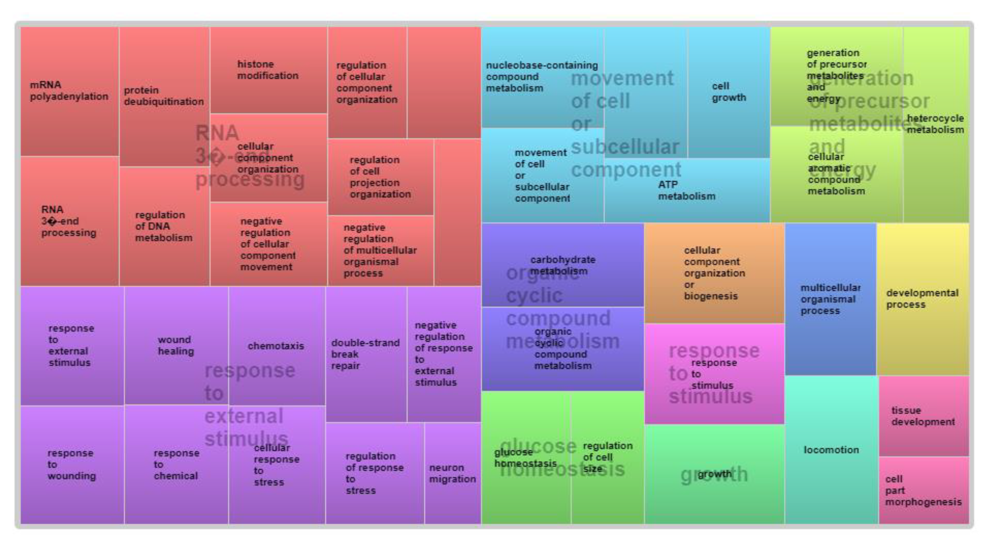 Animals 12 03526 g004