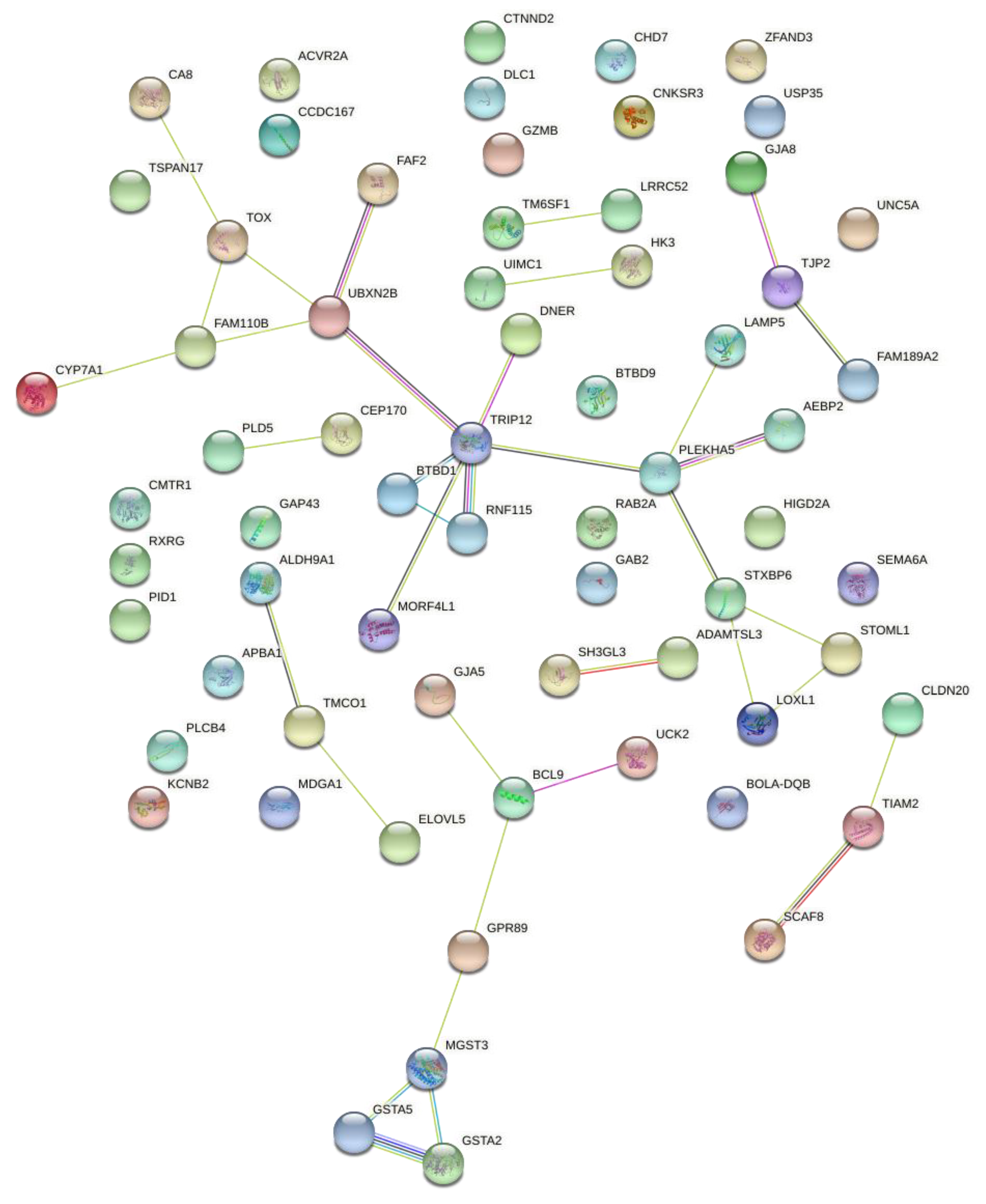 Animals 12 03526 g005