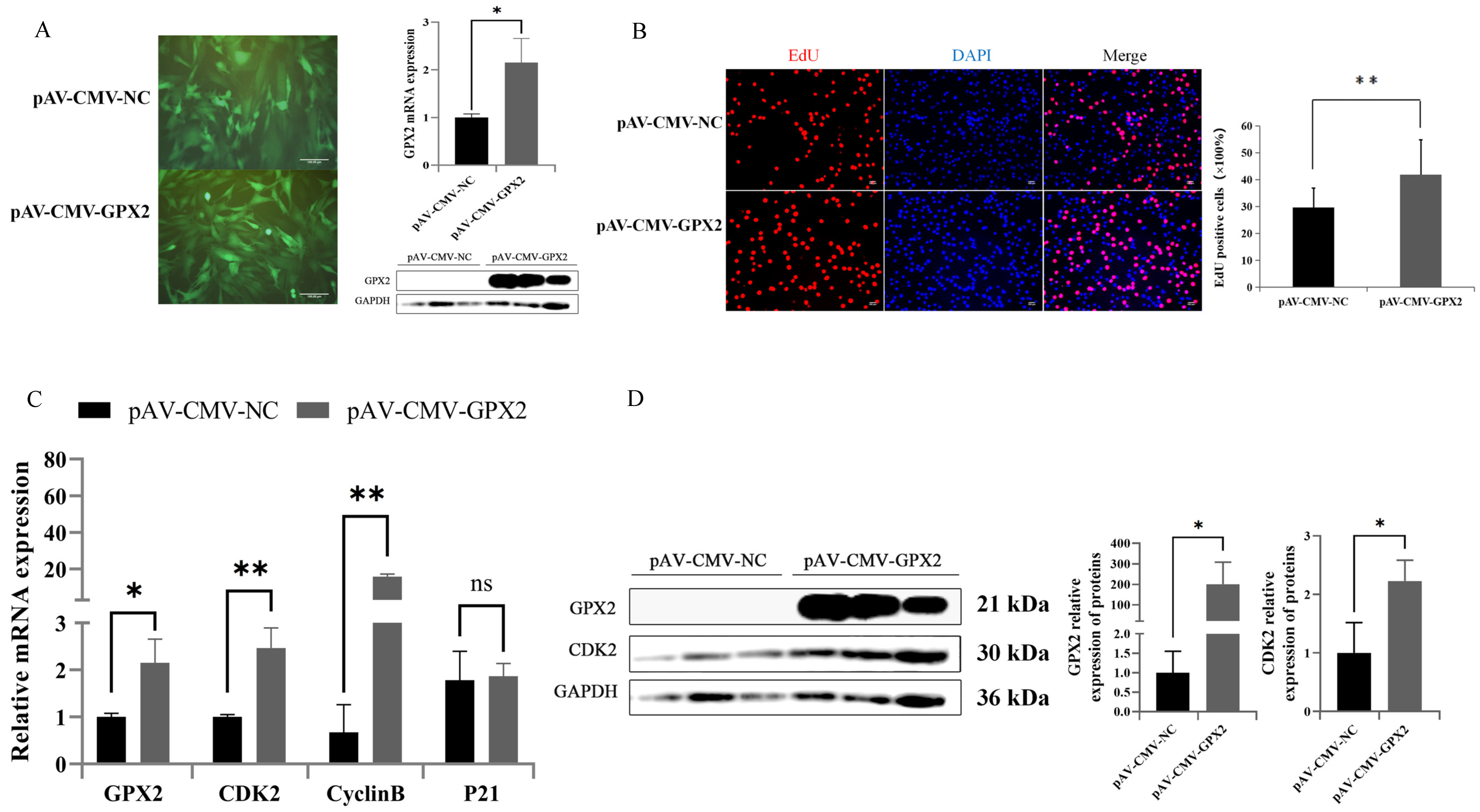 Animals 12 03528 g006