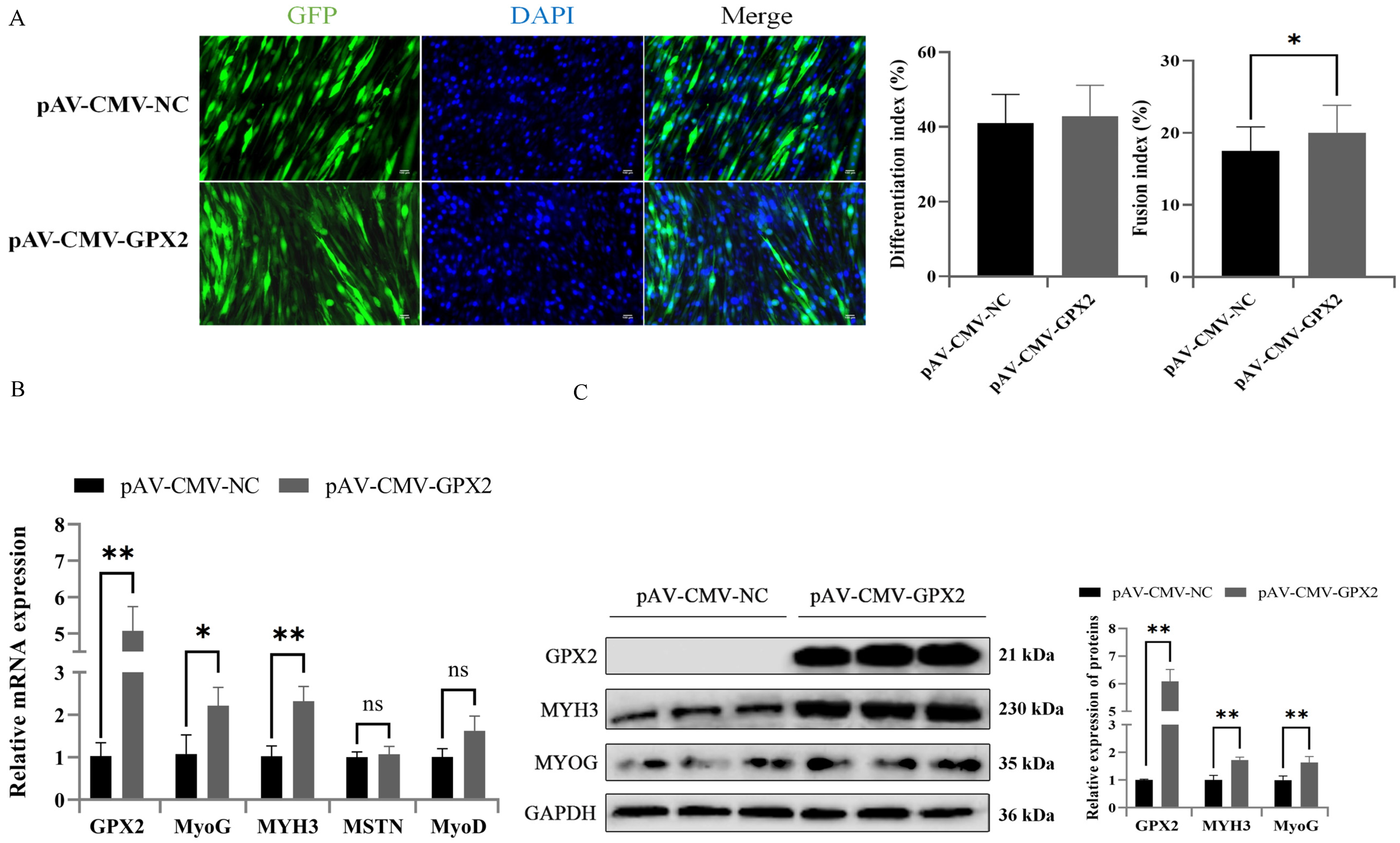 Animals 12 03528 g007