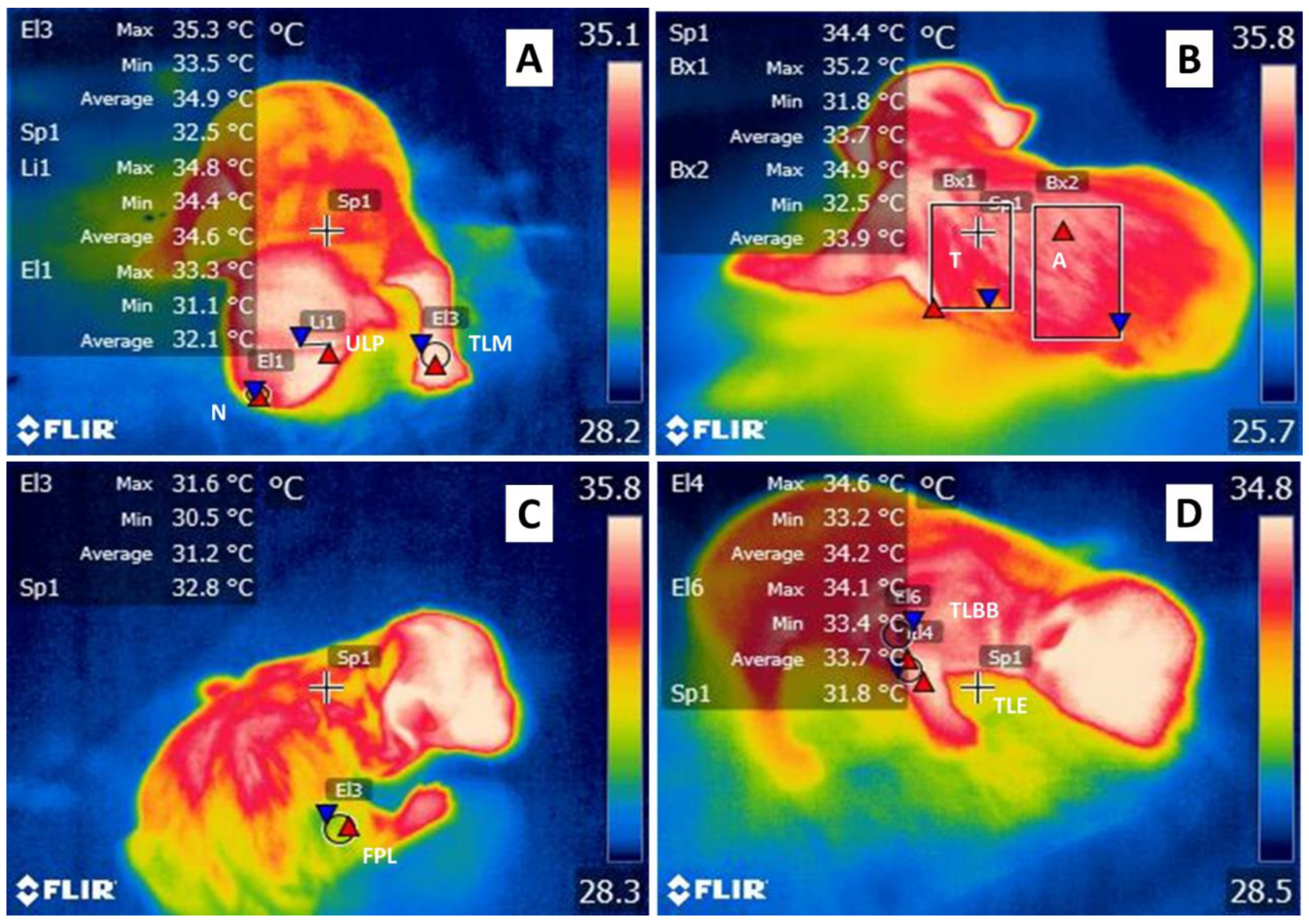 Animals 12 03536 g001 Animals 12 03536 g001