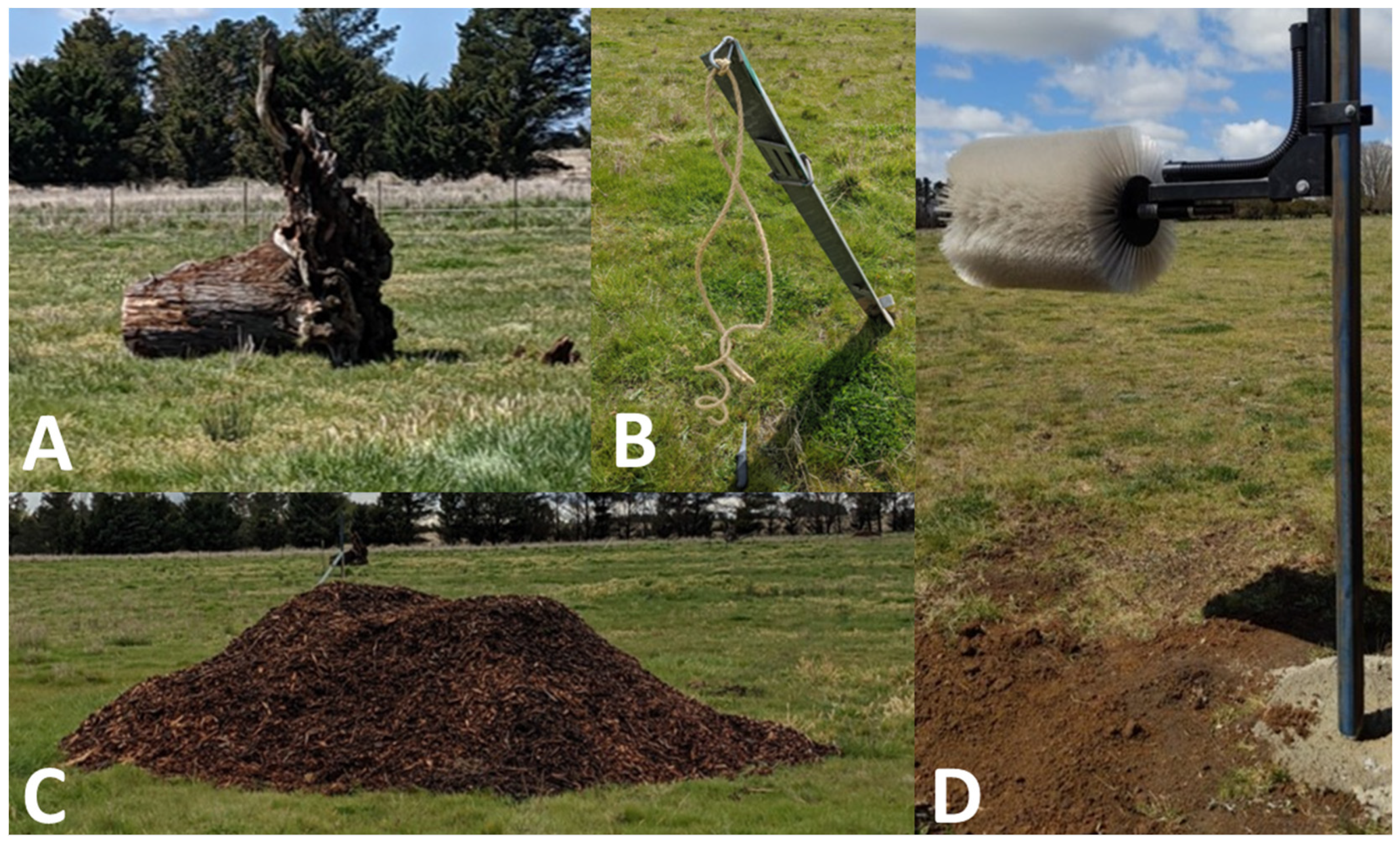 Animals 12 03544 g002