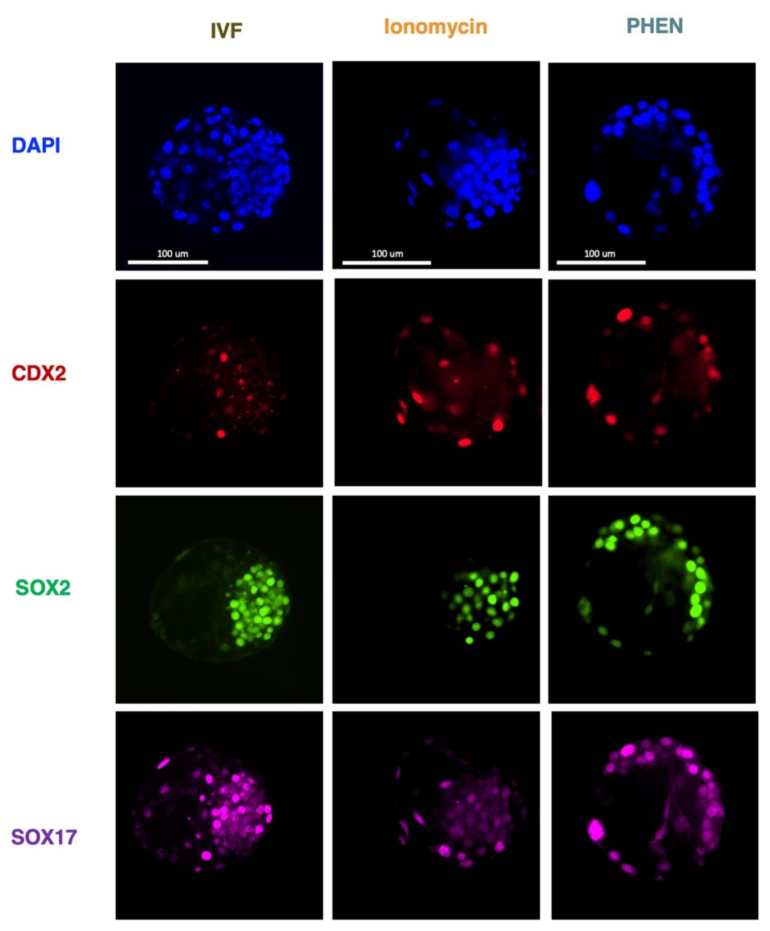 Animals 12 03560 g001