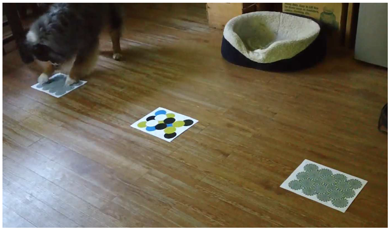 Animals 12 03562 g003