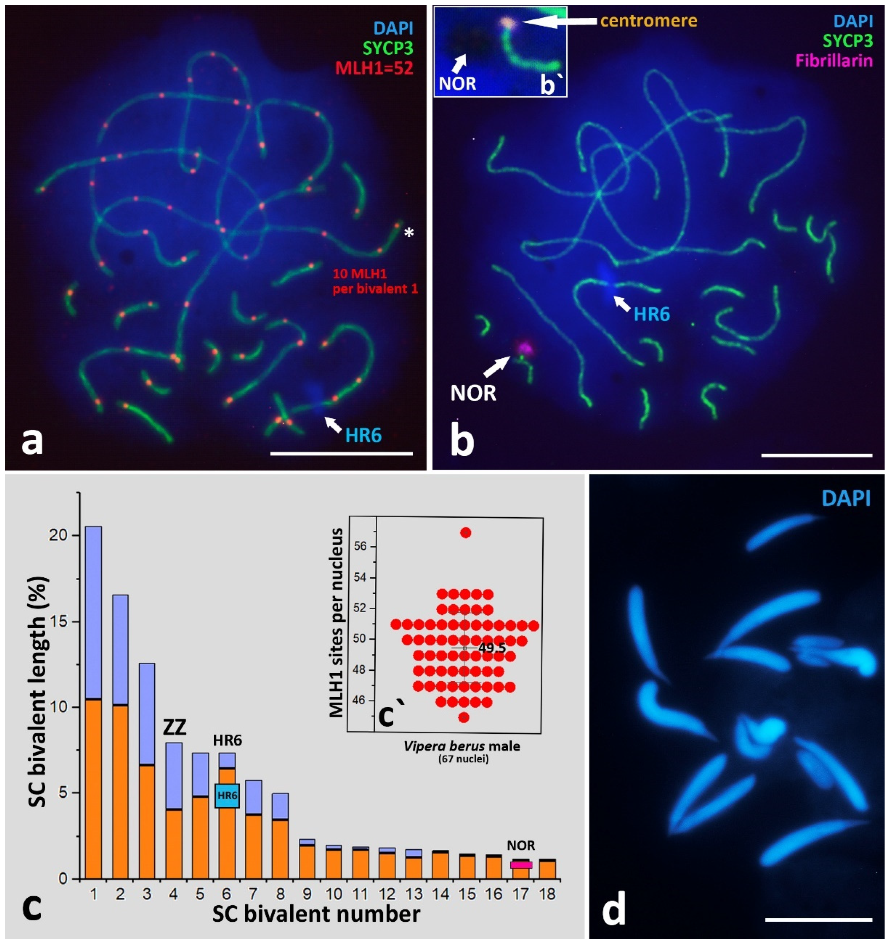 Animals 12 03563 g002