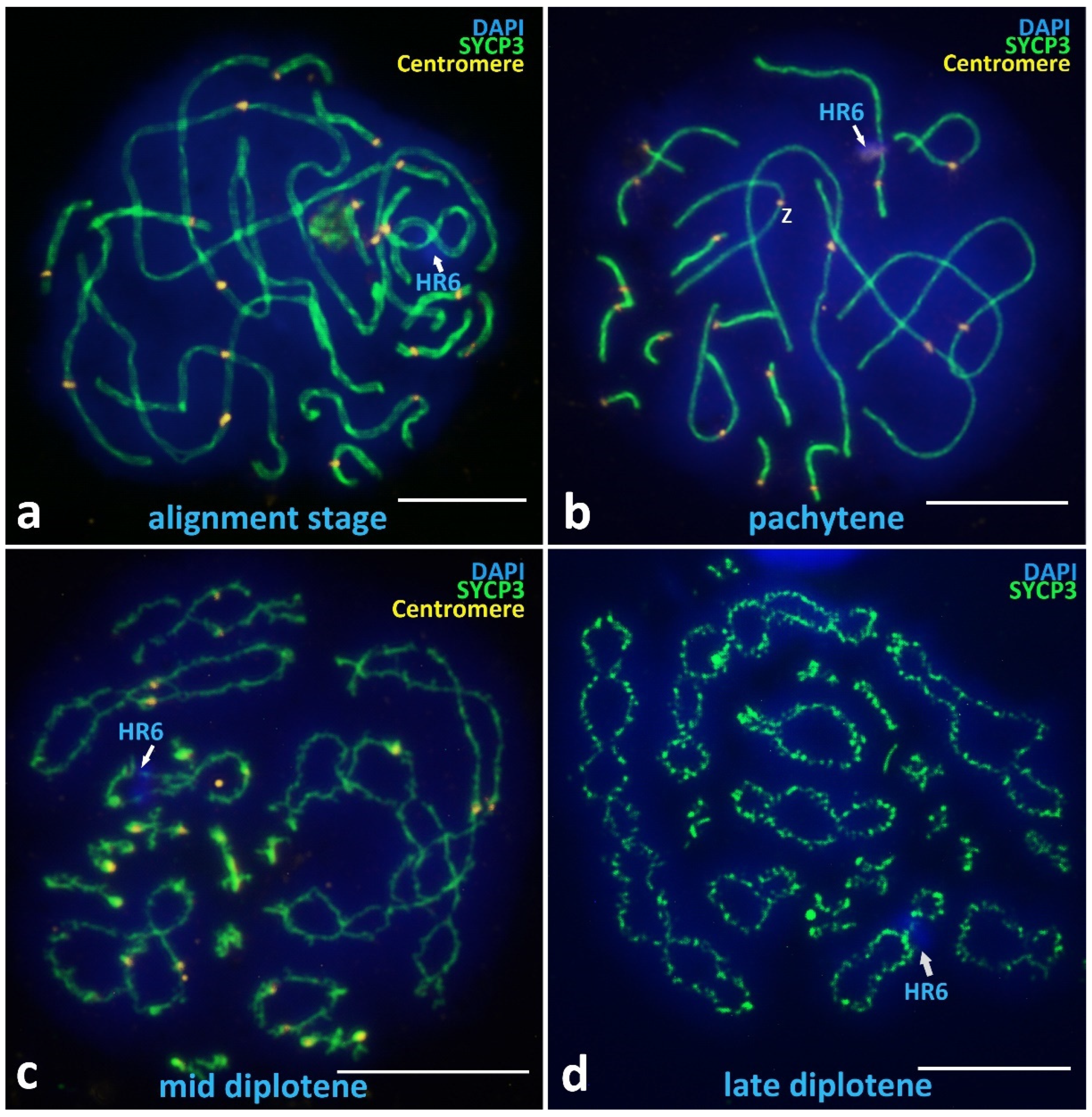 Animals 12 03563 g004