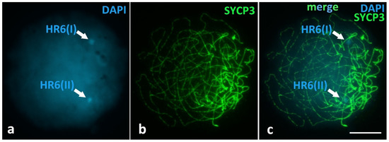 Animals 12 03563 g0a1