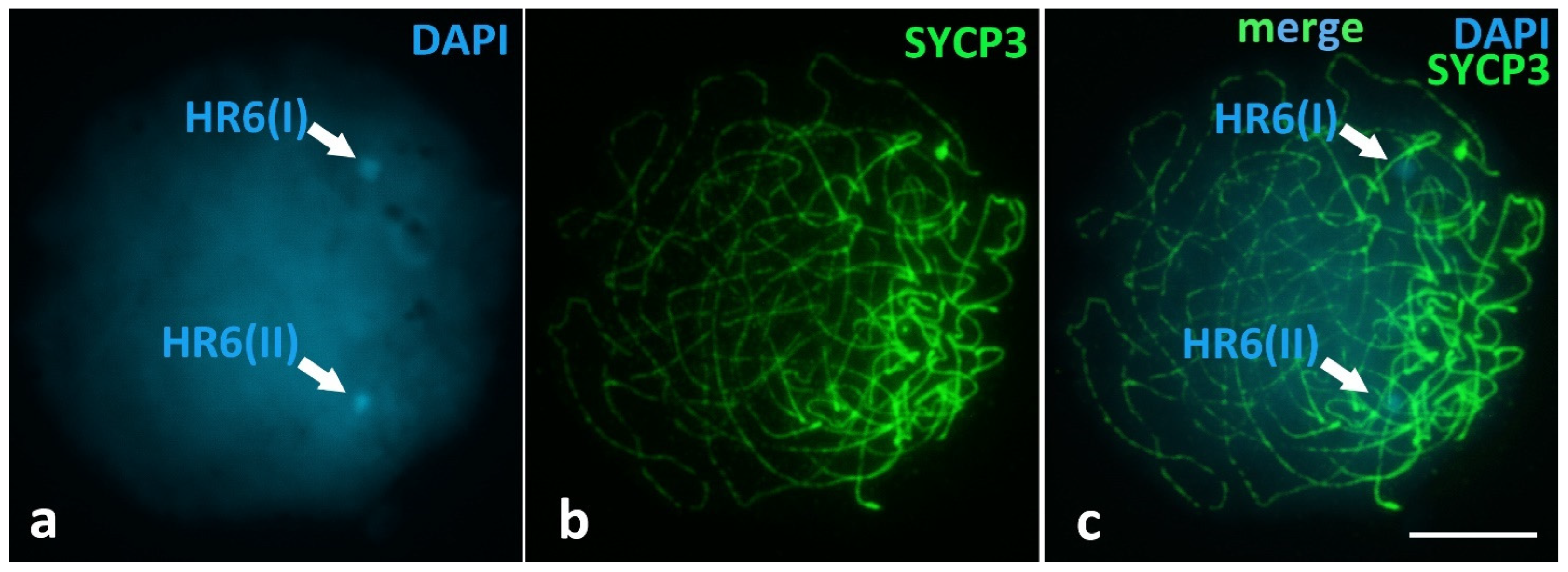 Animals 12 03563 g0a1