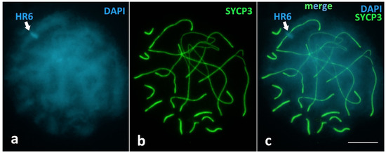 Animals 12 03563 g0a2