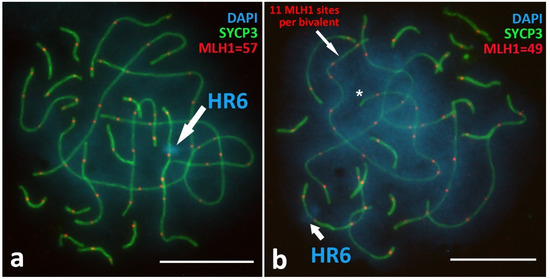 Animals 12 03563 g0a3