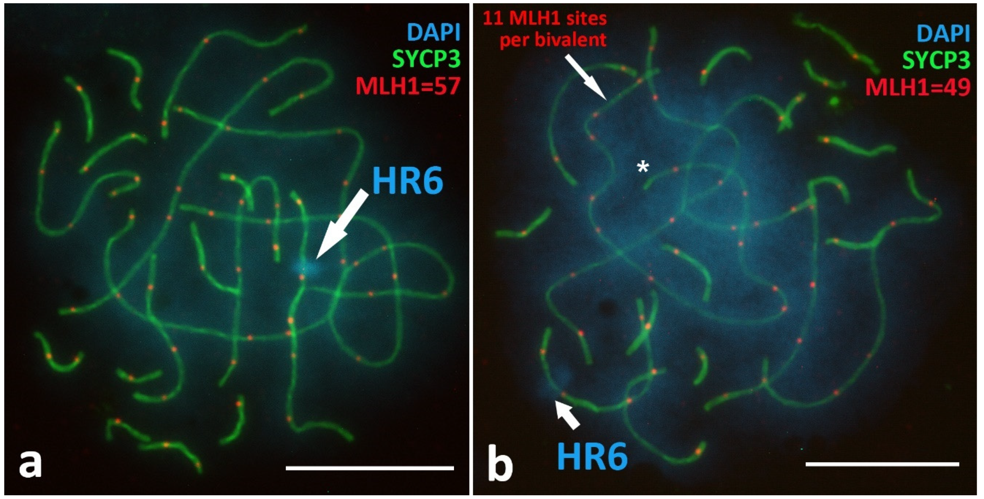 Animals 12 03563 g0a3