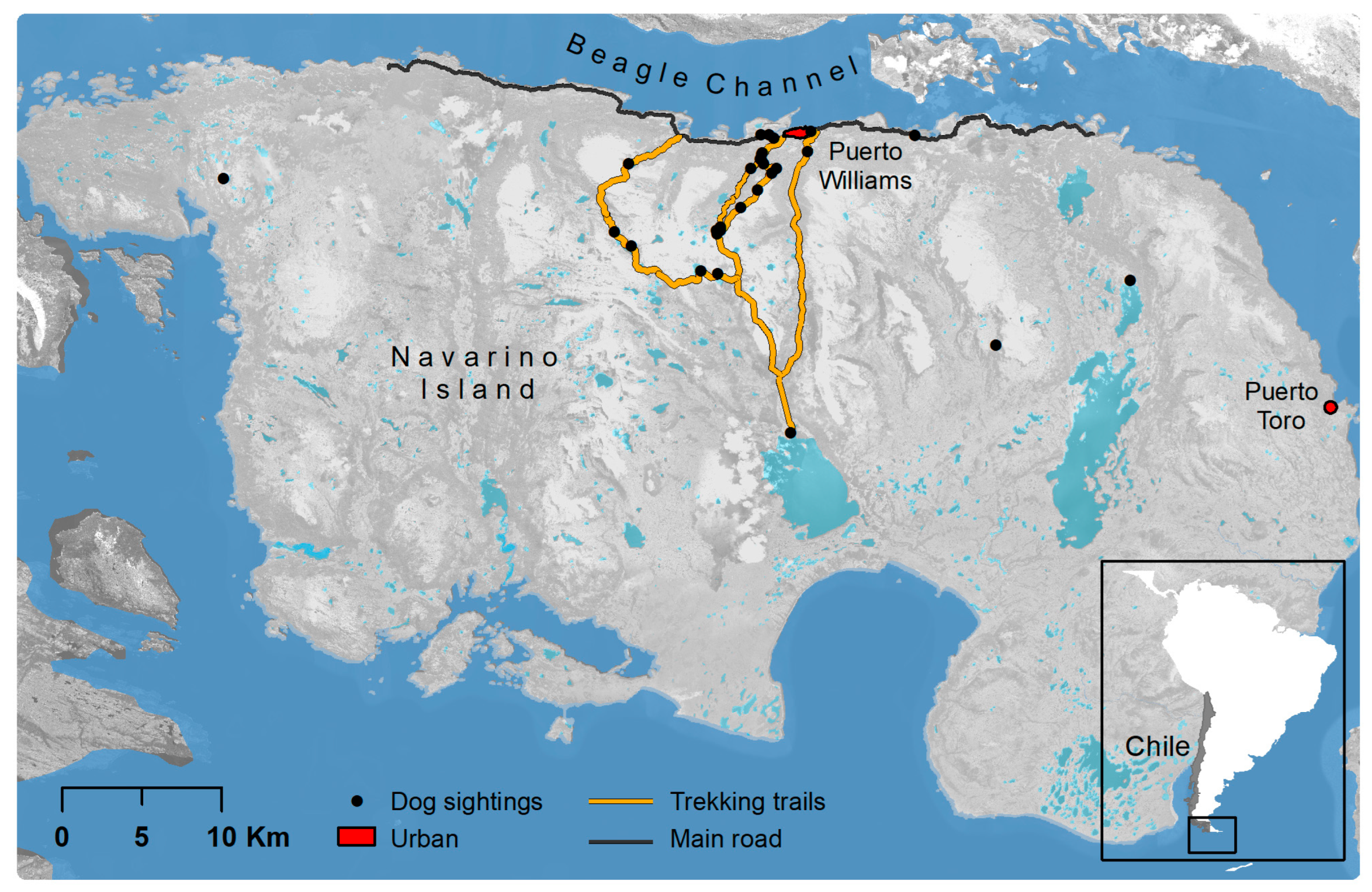 Animals 12 03564 g001