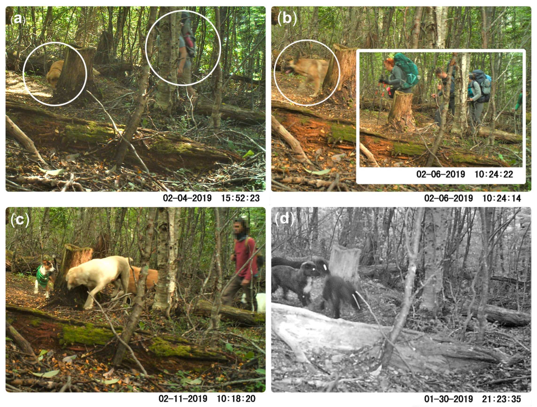 Animals 12 03564 g004