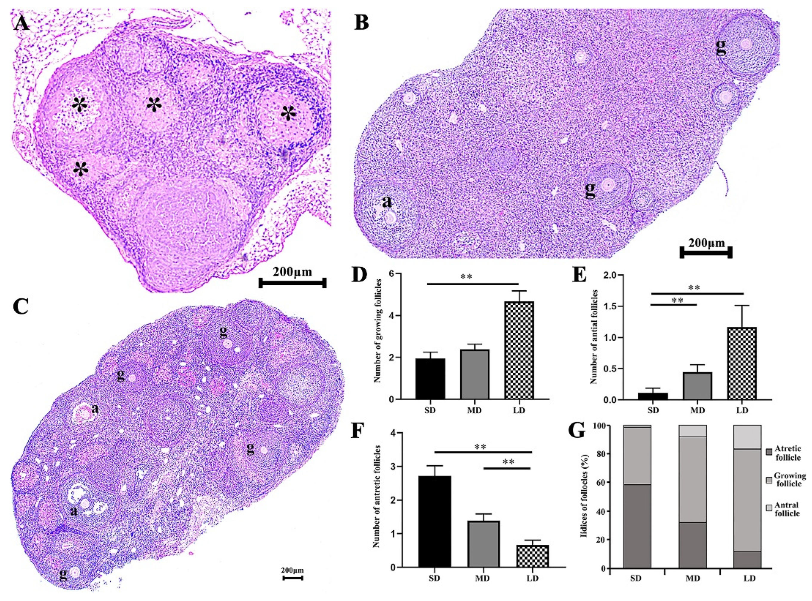 Animals 12 03570 g003