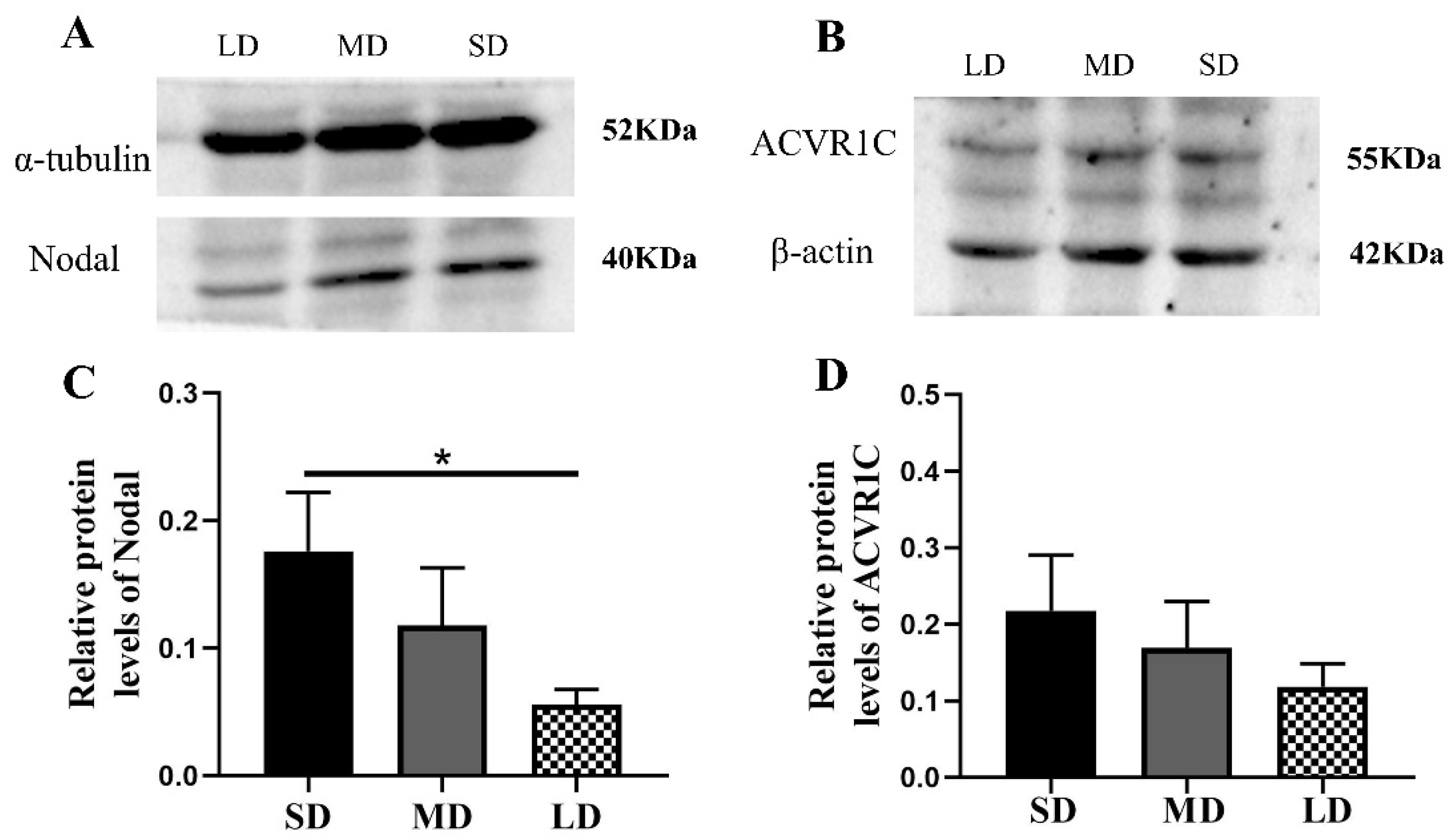 Animals 12 03570 g007