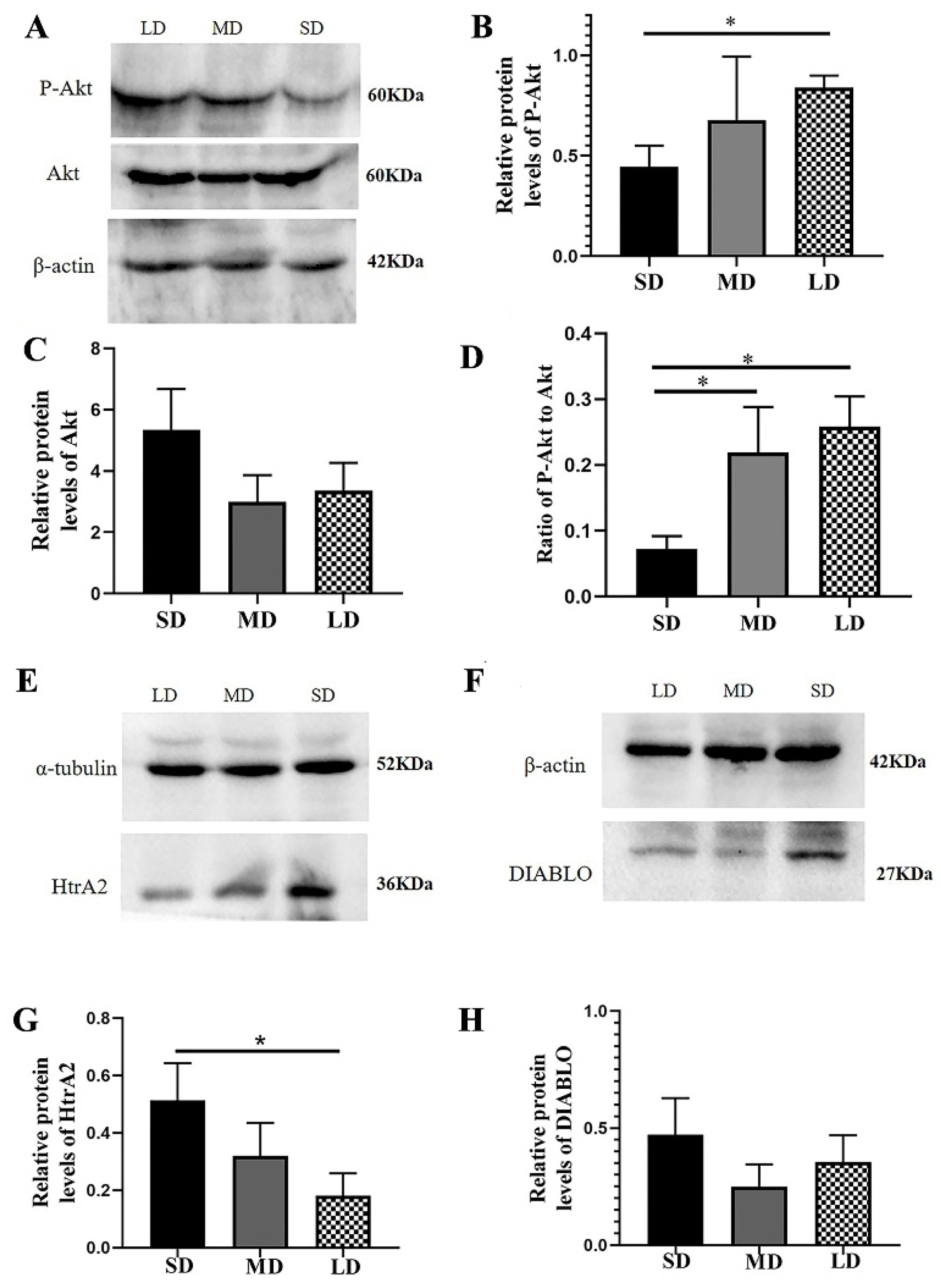 Animals 12 03570 g009