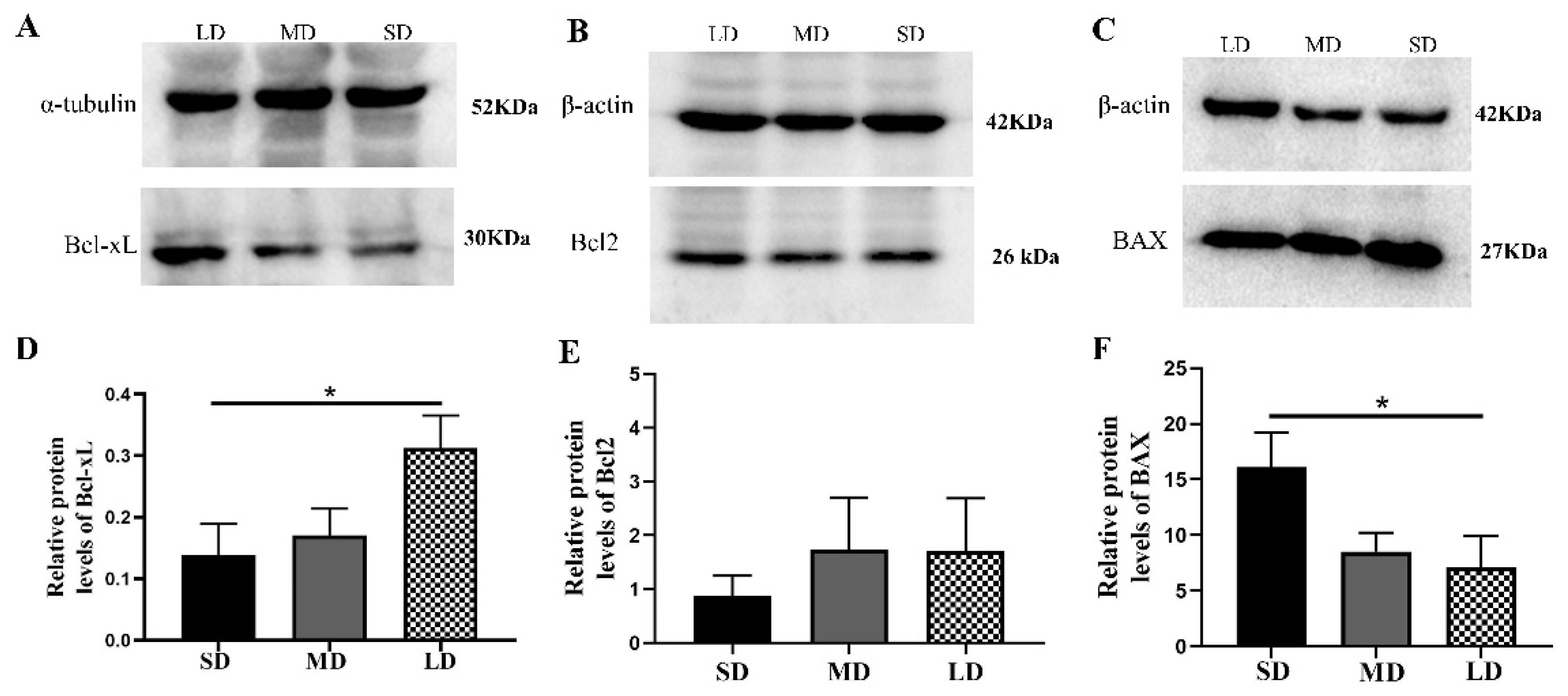 Animals 12 03570 g010