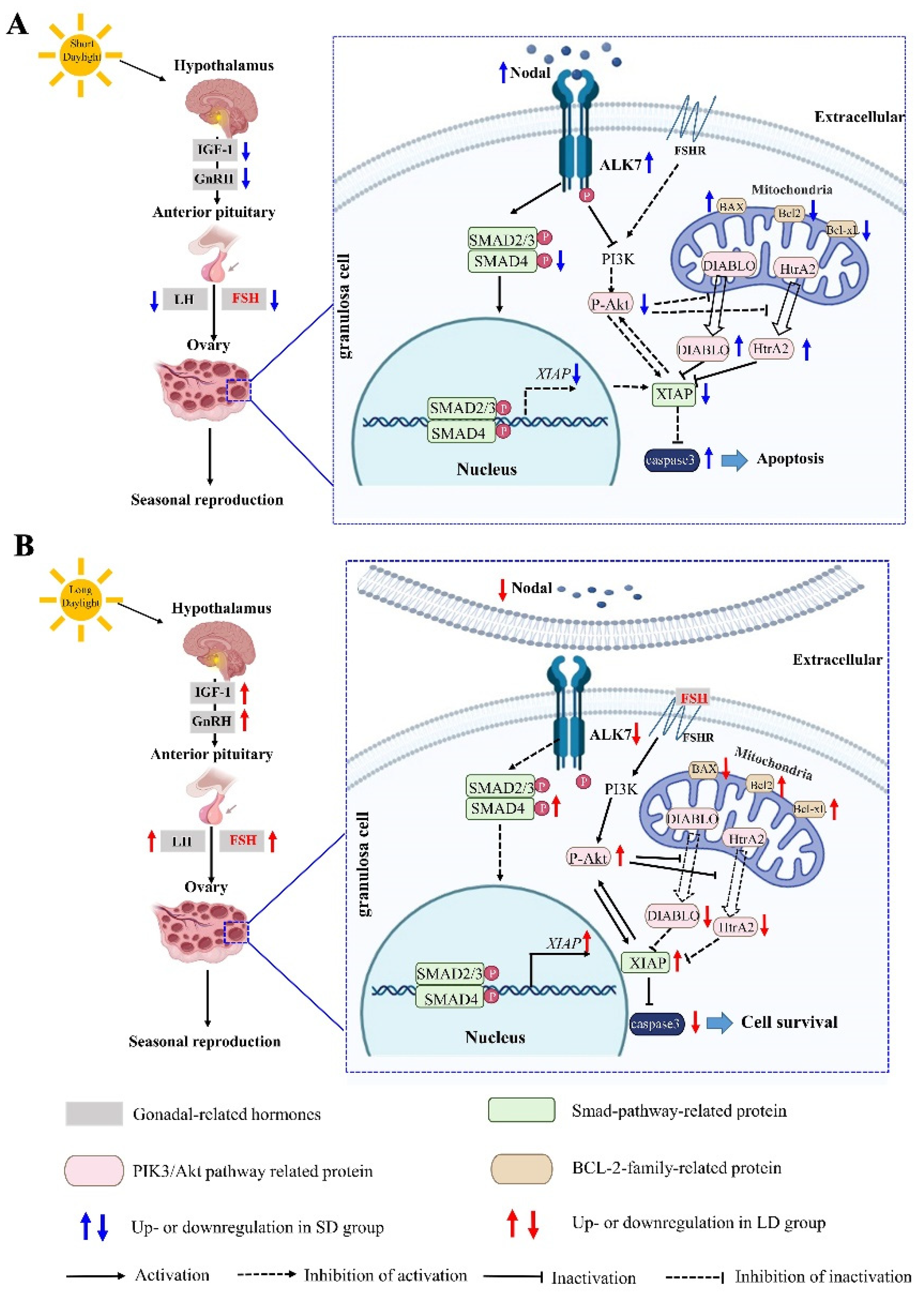 Animals 12 03570 g012